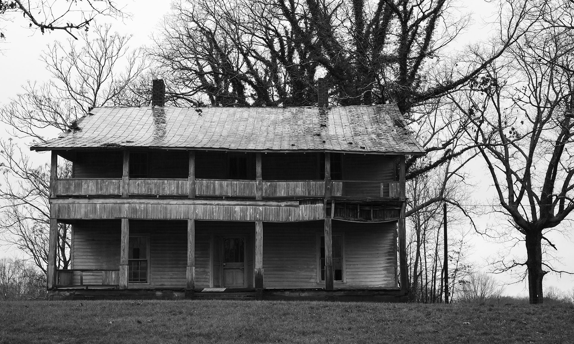 2 2, 2023© 2023 Bob CareyLEICA M11 – 50 9.5 – 1/60 – 250