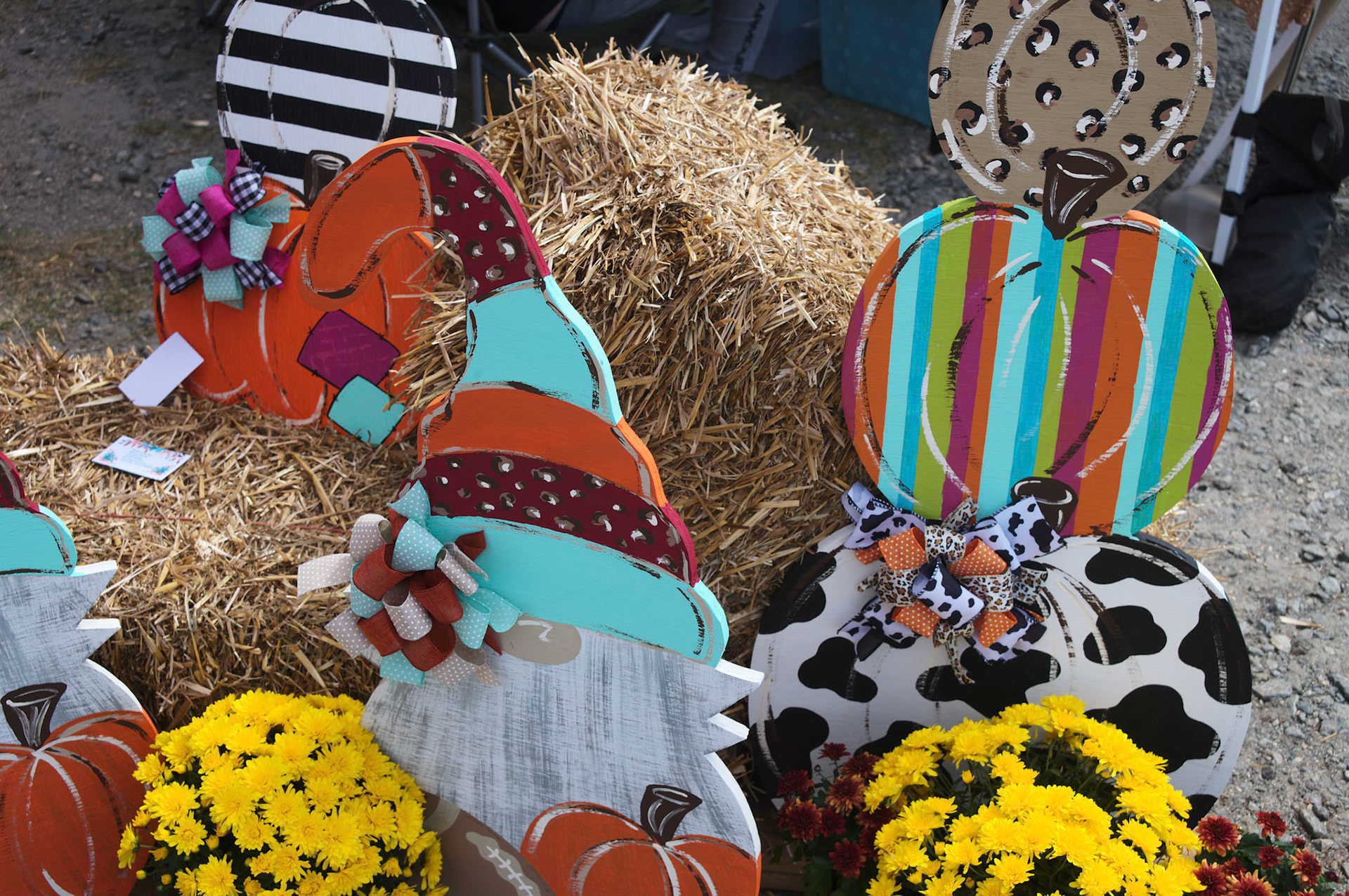 Guernsey Girl Creamery Fall Fun Day on Saturday, September 24, 2022 in Shelby, NC.©2022 Bob CareyLEICA M11, 50 – SS 1/60, F 5.6, ISO 64