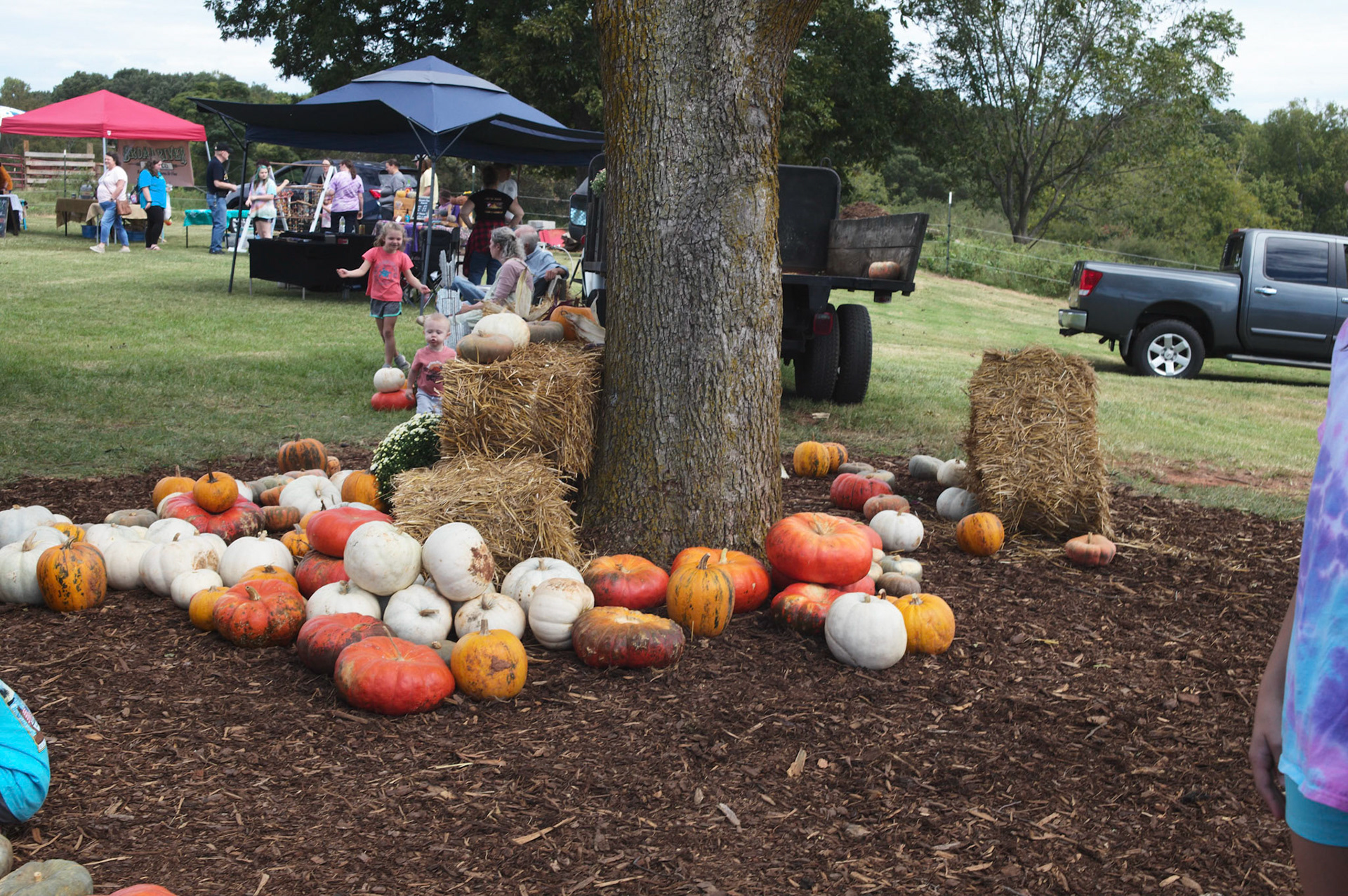 Guernsey Girl Creamery Fall Fun Day on Saturday, September 24, 2022 in Shelby, NC.©2022 Bob CareyLEICA M11, 50 – SS 1/60, F 5.6, ISO 64