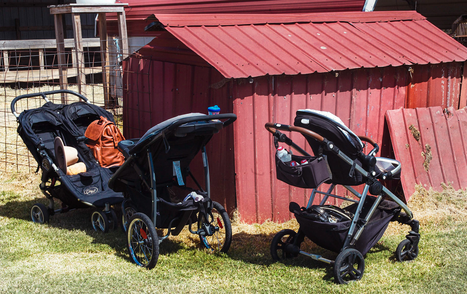 Guernsey Girl Creamery Fall Fun Day on Saturday, September 24, 2022 in Shelby, NC.©2022 Bob CareyLEICA M11, 50 – SS 1/60, F 5.6, ISO 64