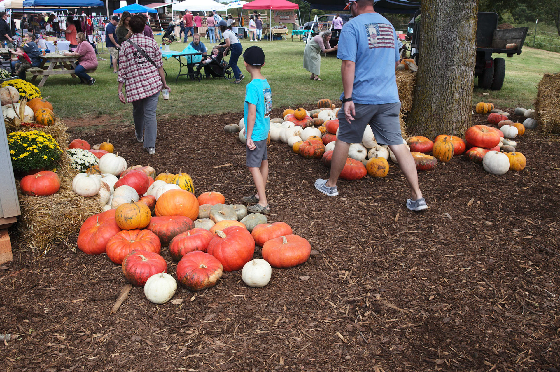 Guernsey Girl Creamery Fall Fun Day on Saturday, September 24, 2022 in Shelby, NC.©2022 Bob CareyLEICA M11, 50 – SS 1/60, F 5.6, ISO 64