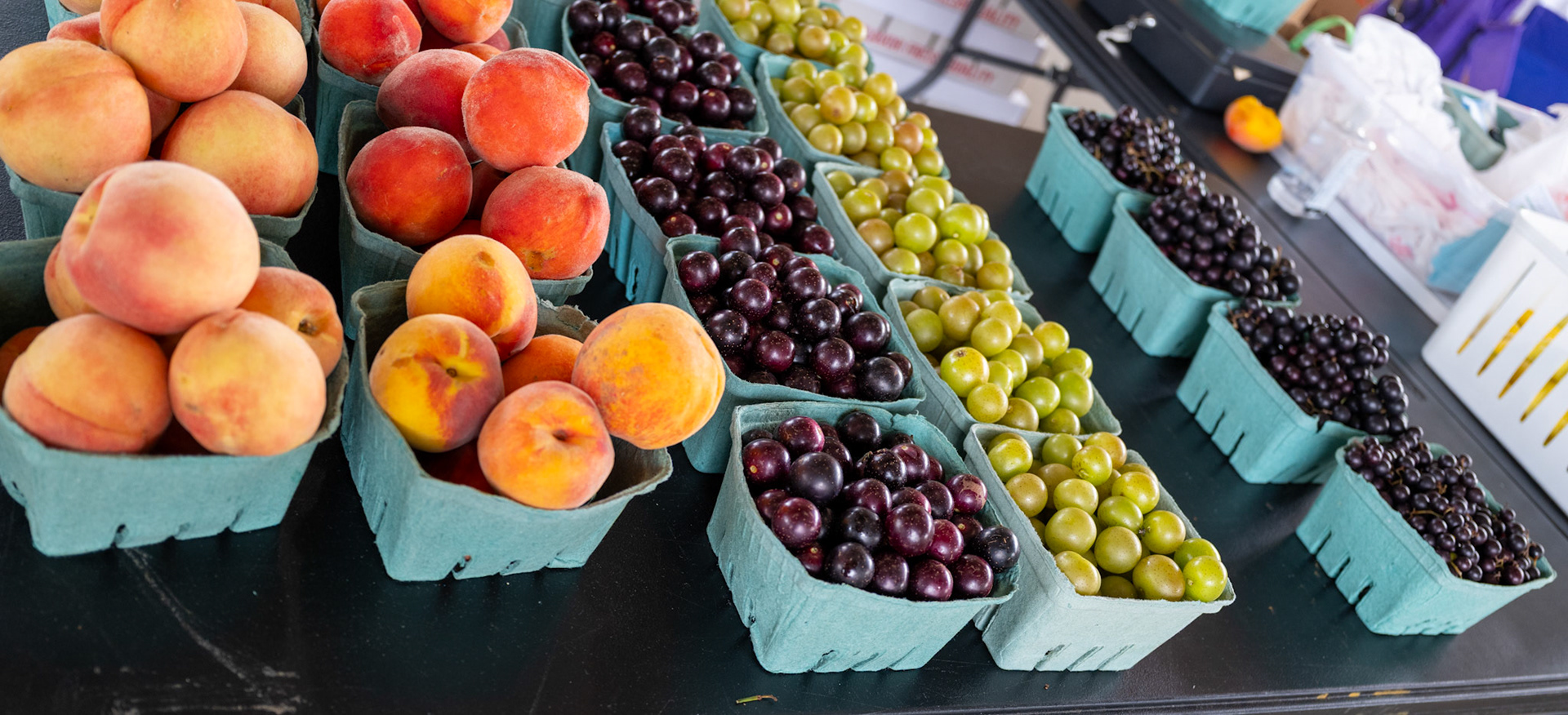 Shelby Farmers Market on August 16, 2025.