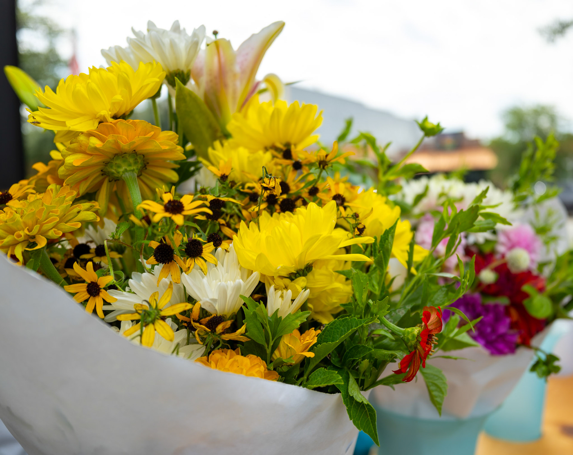 Shelby Farmers Market on August 16, 2025.