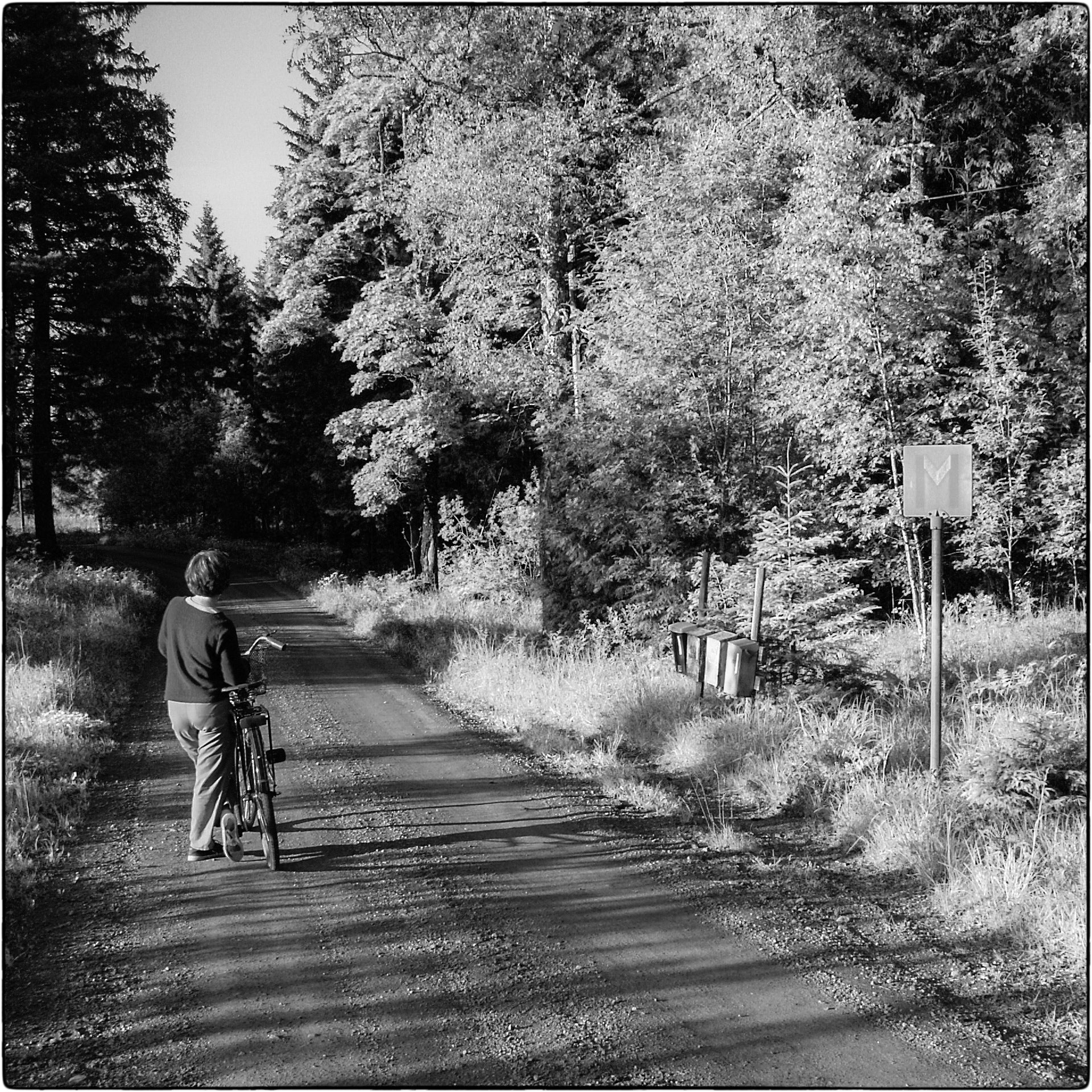Minolta DSC