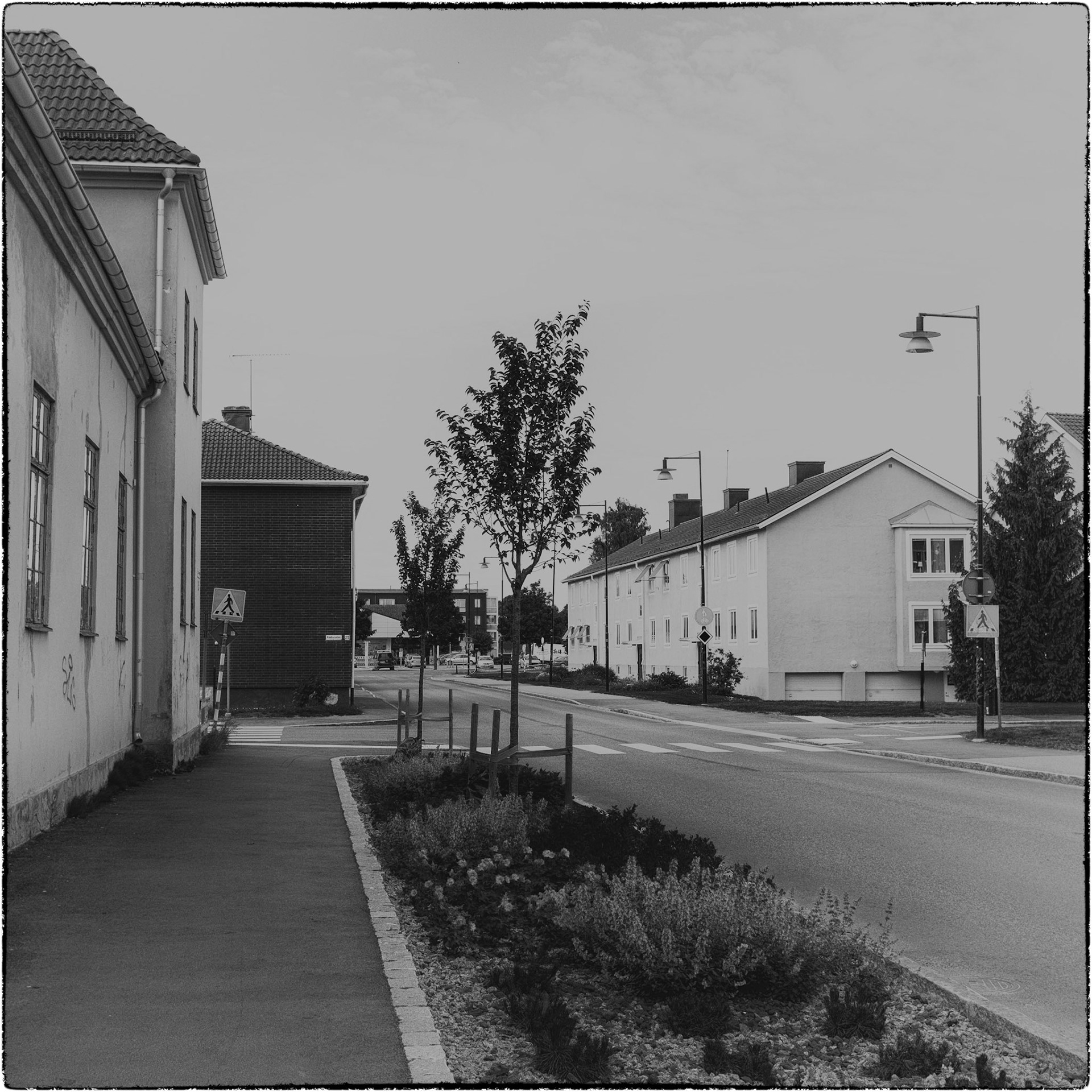 Tierp juni 2024