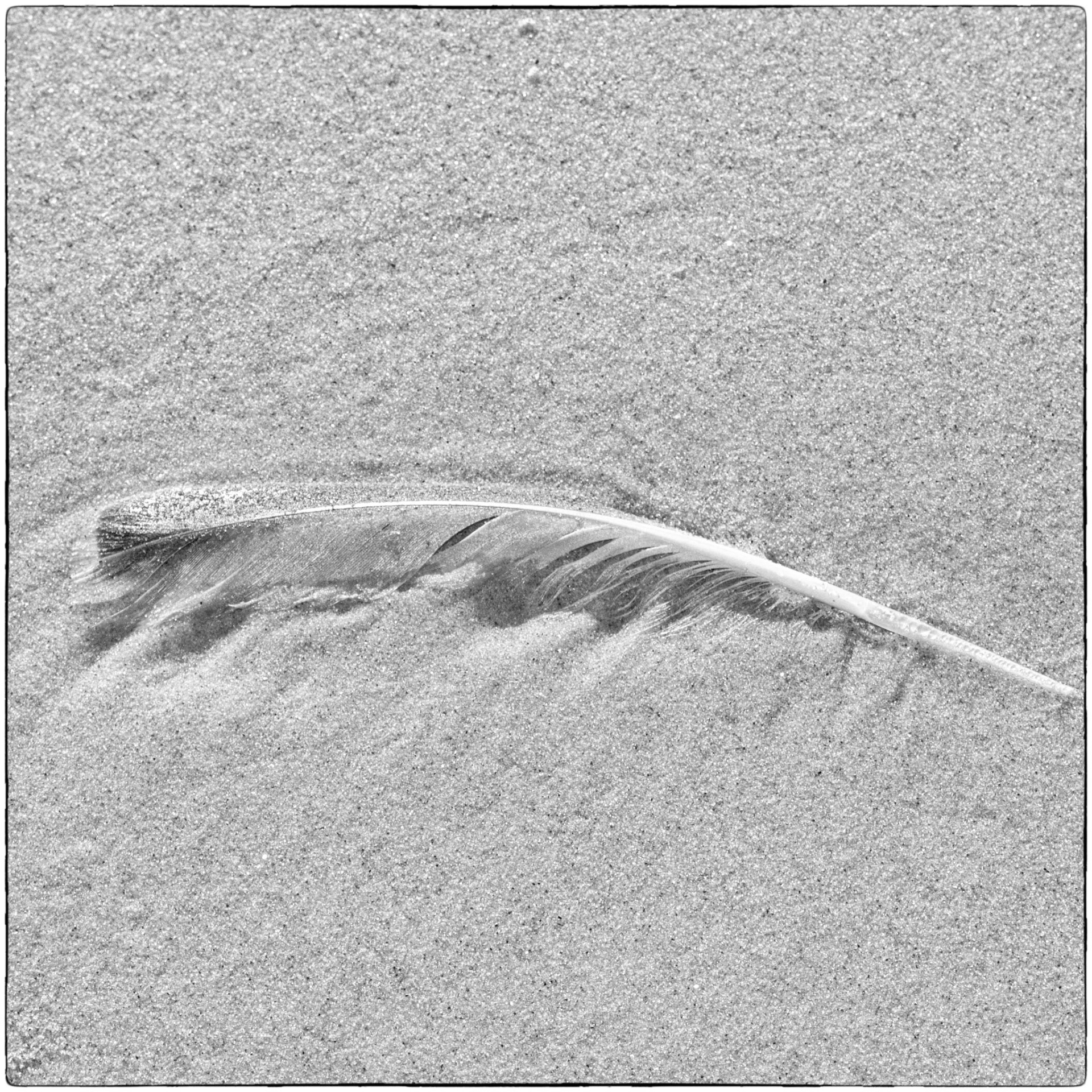 Sand