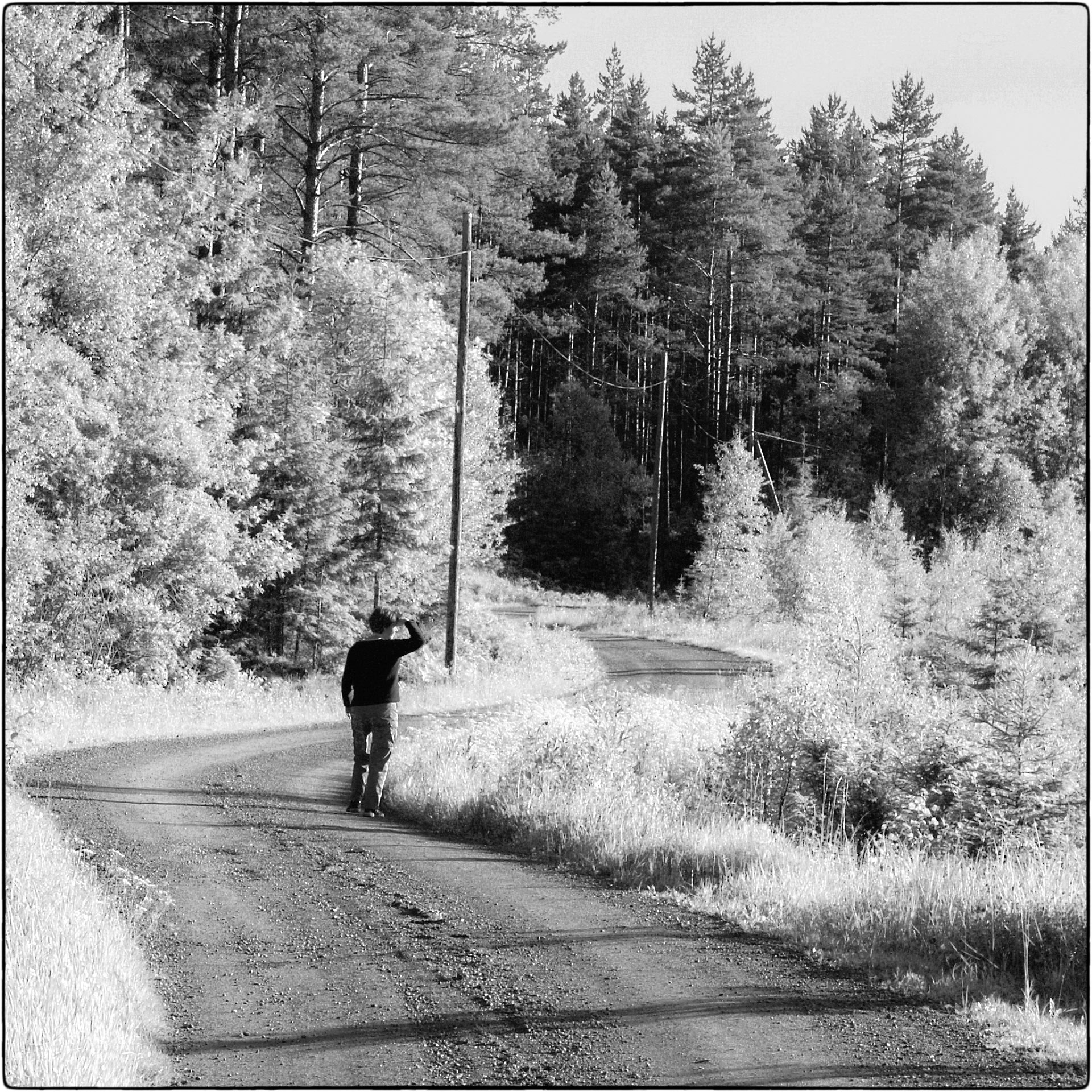 Minolta DSC