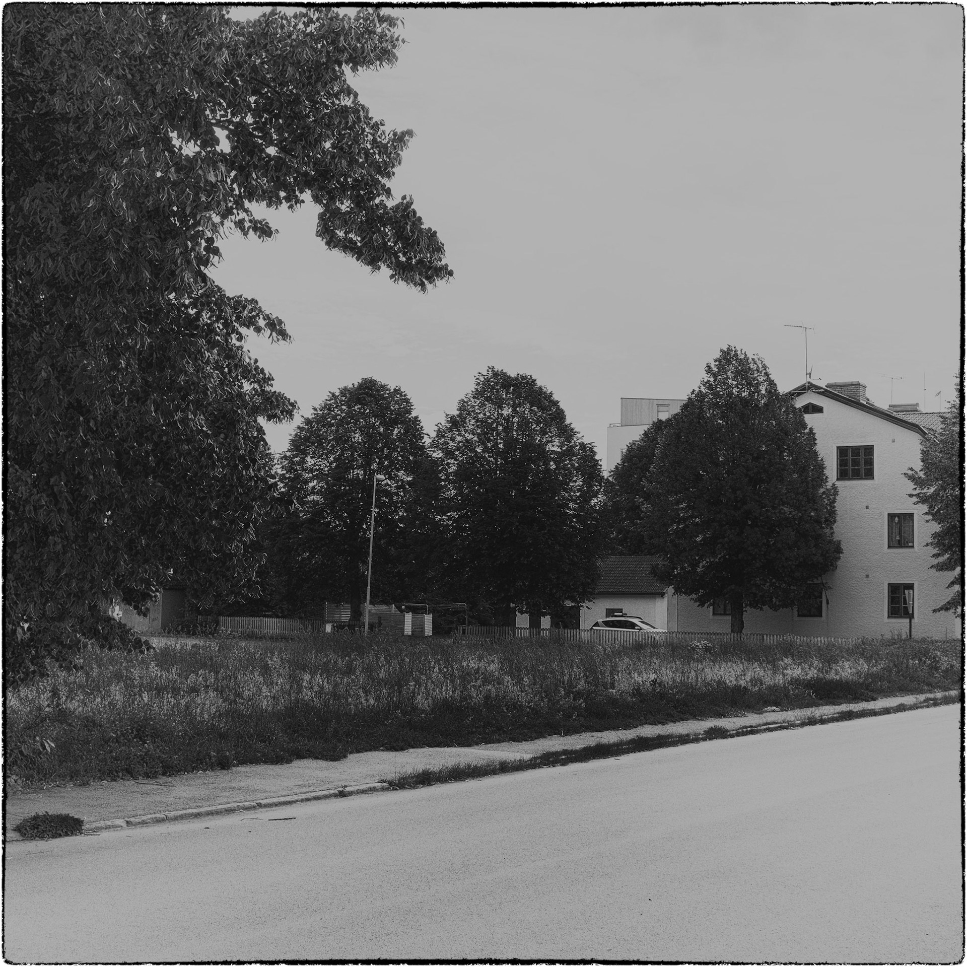 Tierp juni 2024