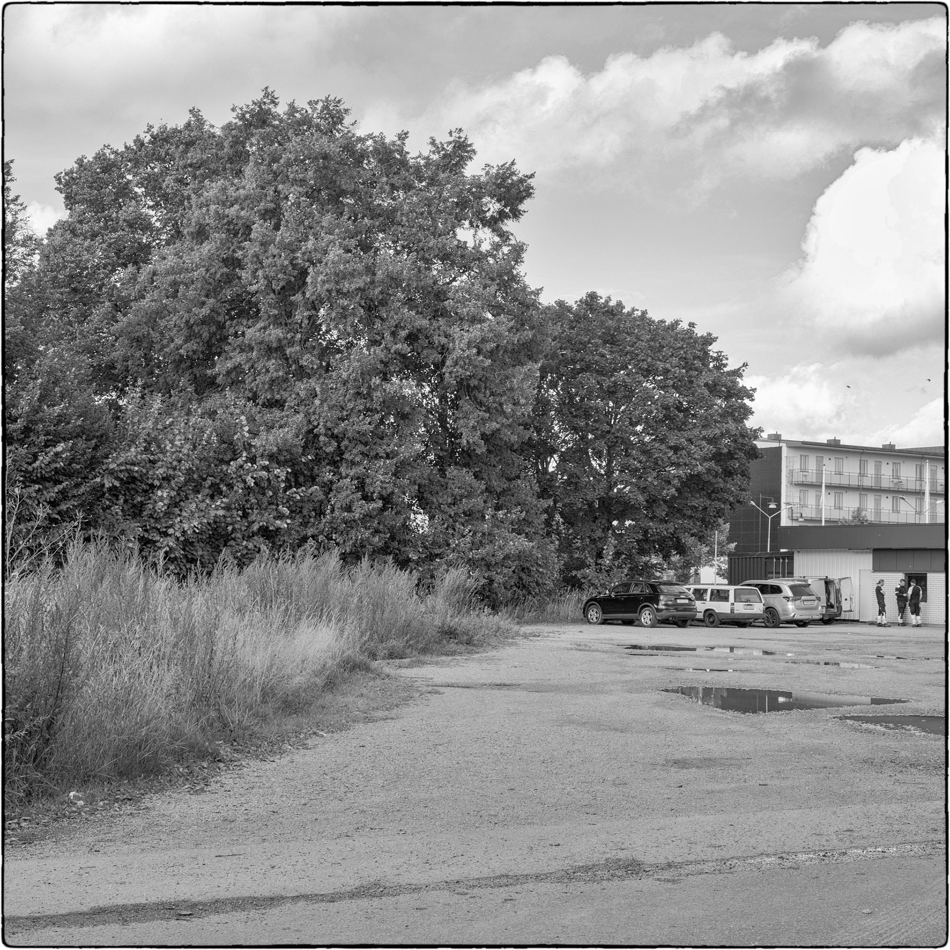 Tierp september 2025 #2