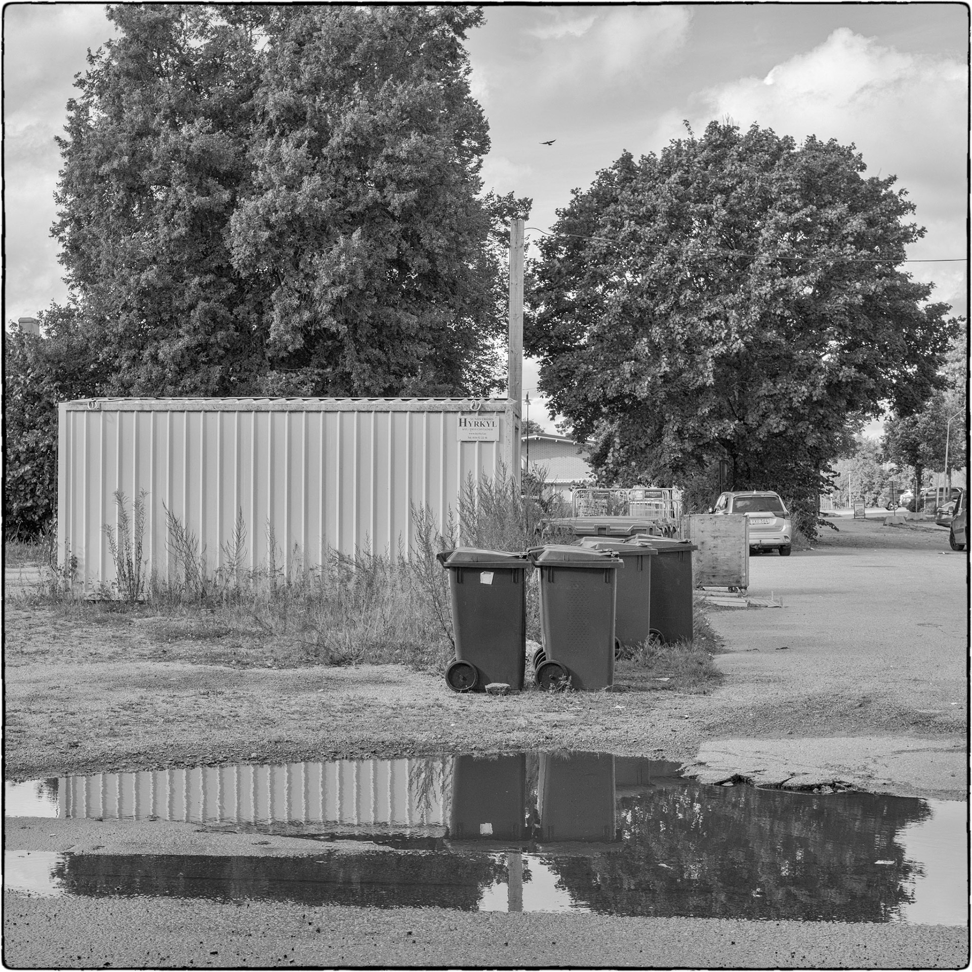 Tierp september 2025 #1