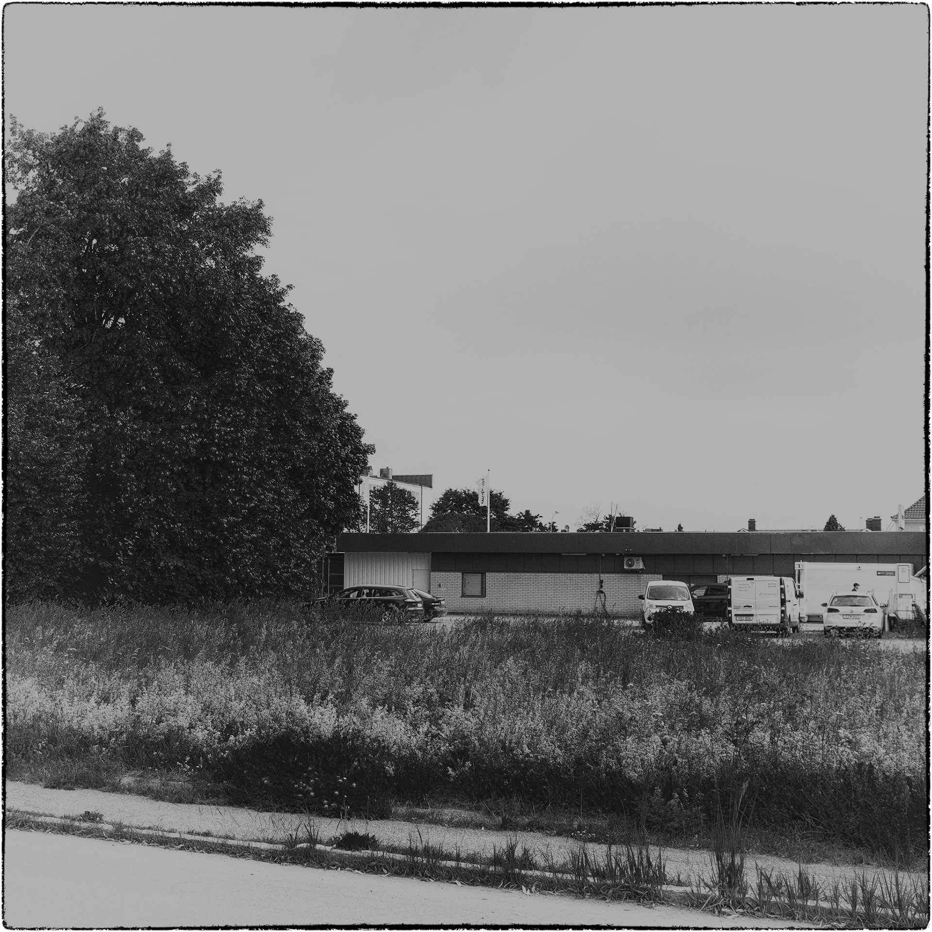 Tierp juni 2024