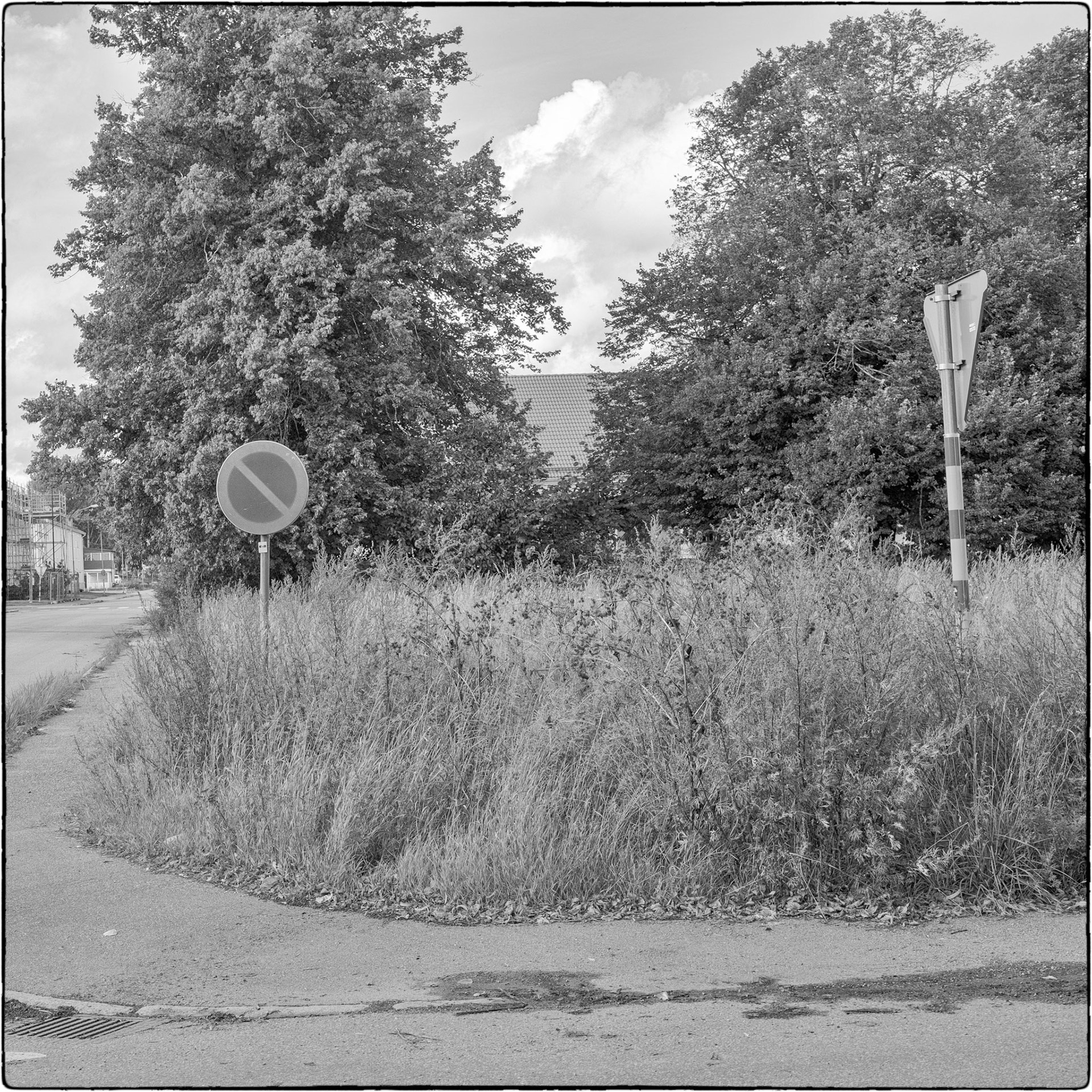 Tierp september 2025 #3