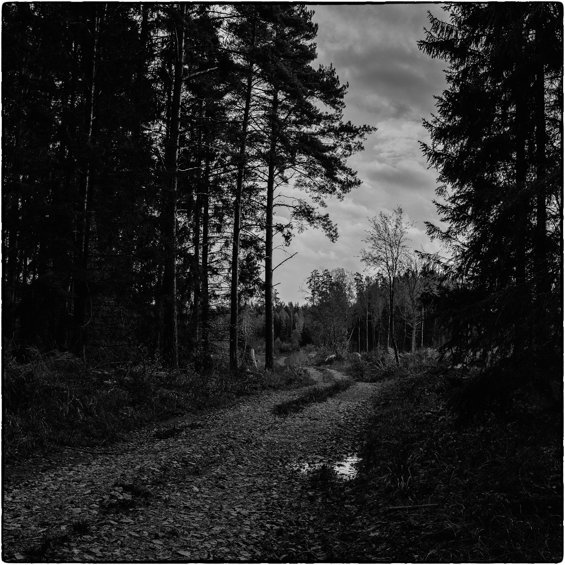 Uppland 2021