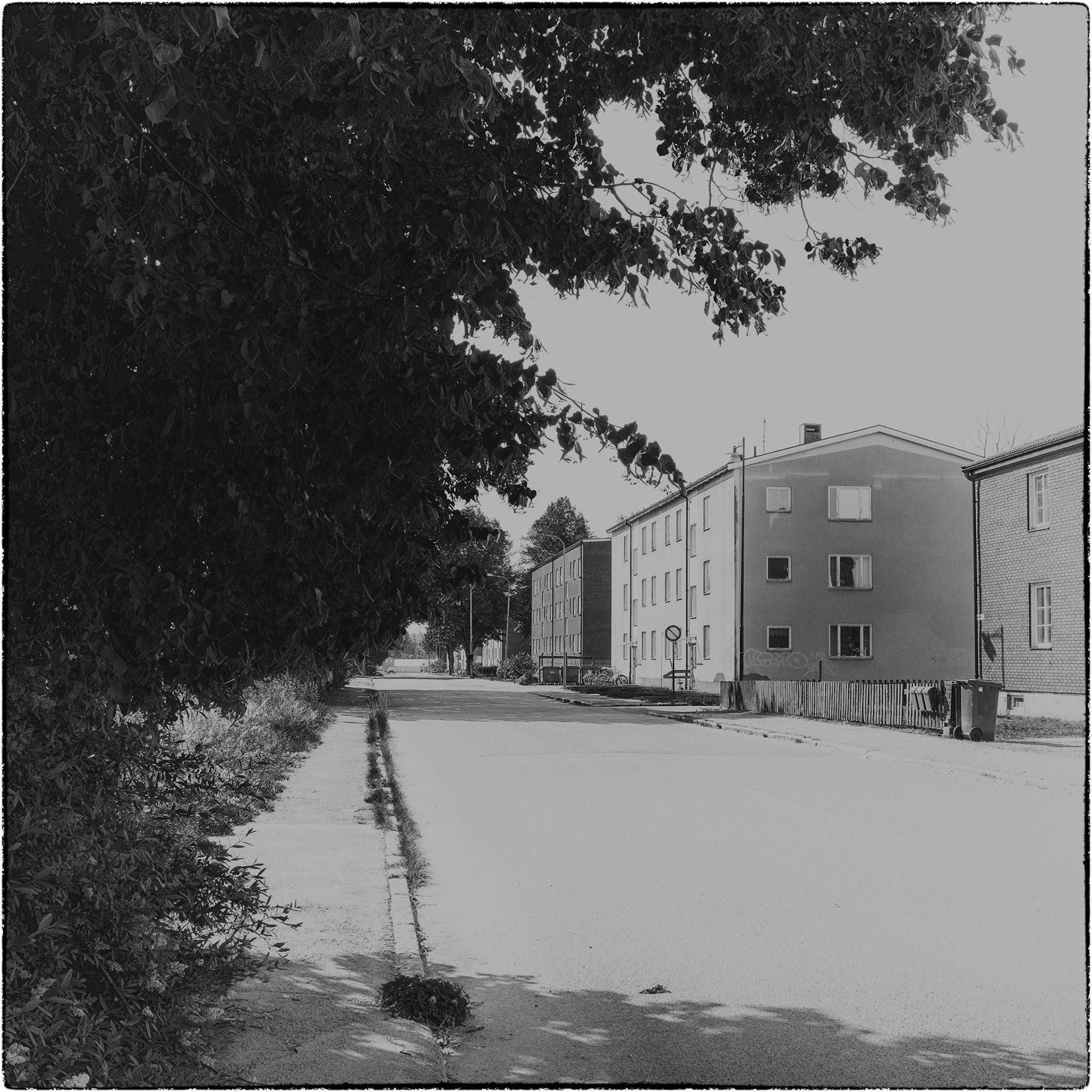 Tierp juni 2024
