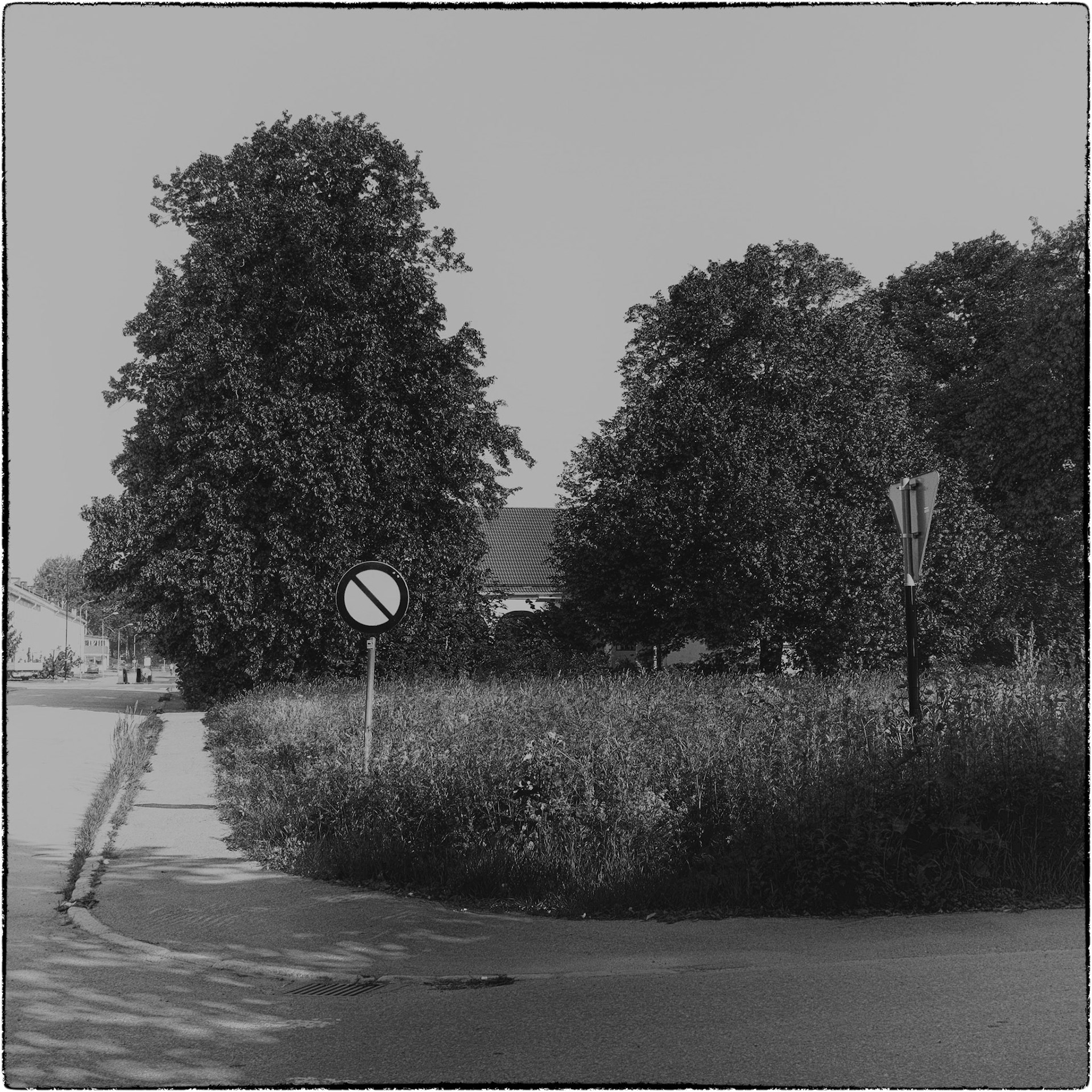 Tierp juni 2024