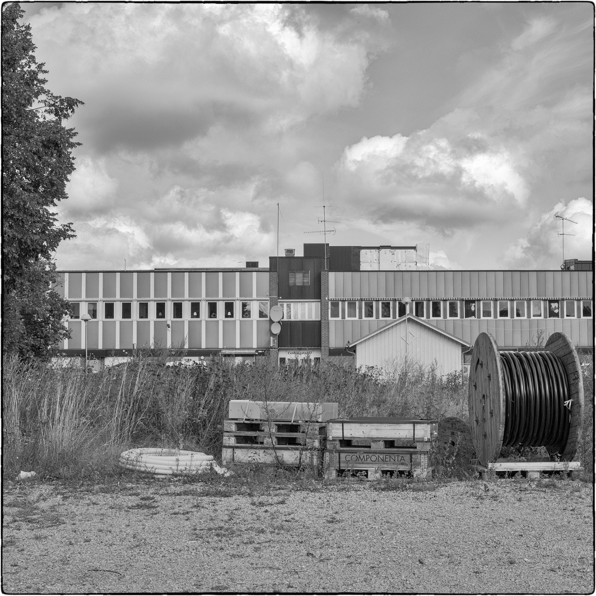 Tierp september 2025 #4