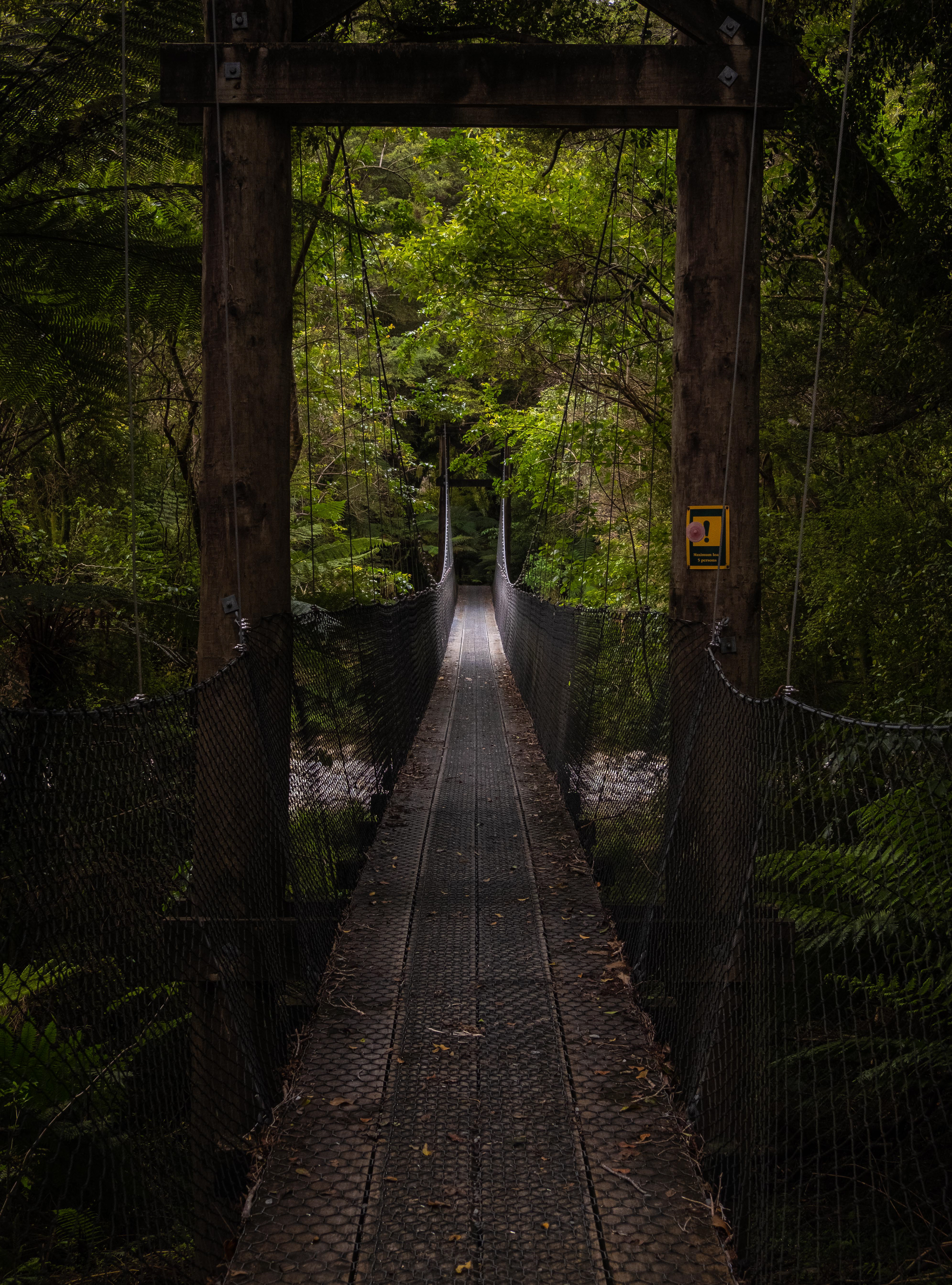 Walking bridge