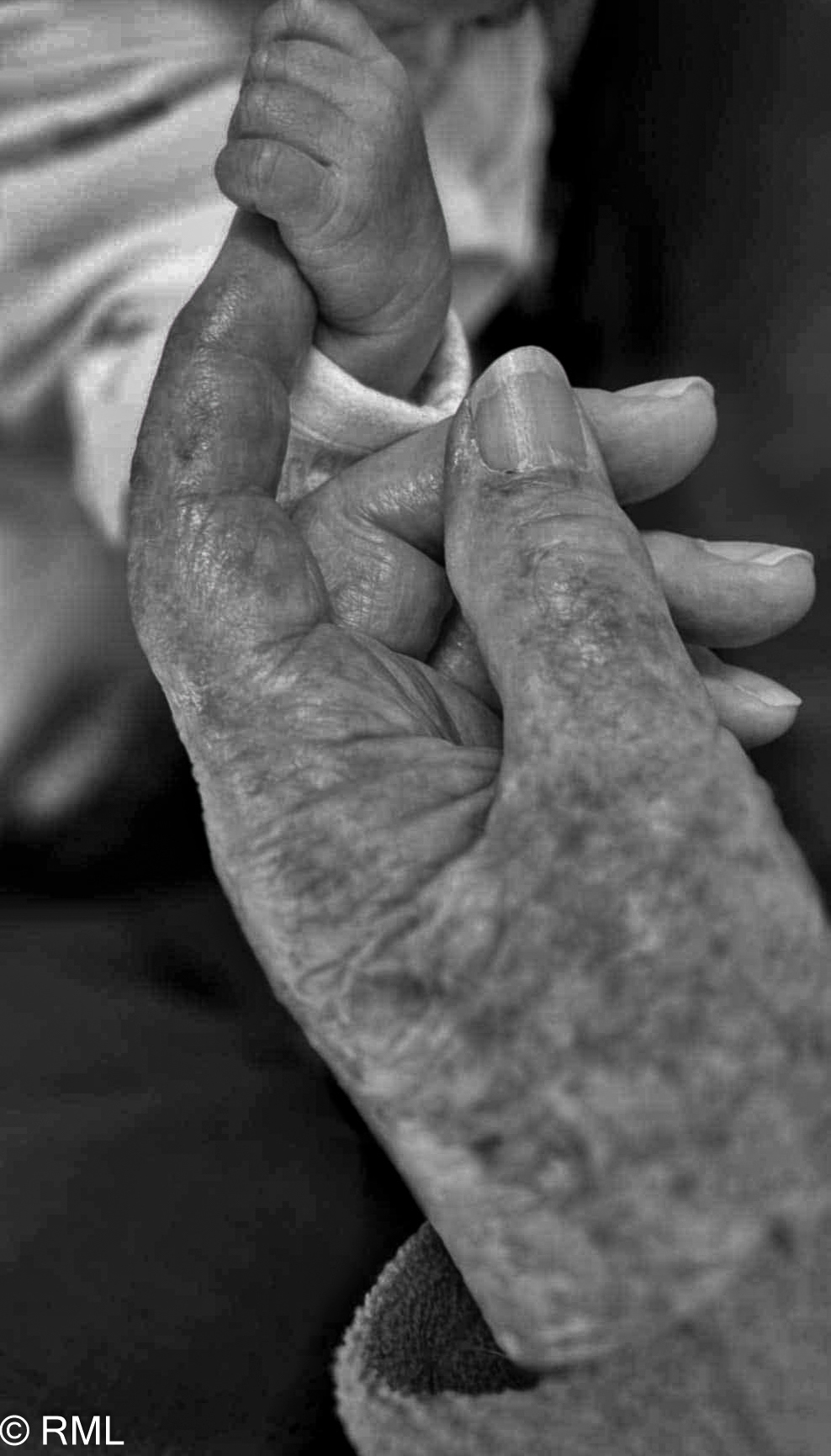 Hands