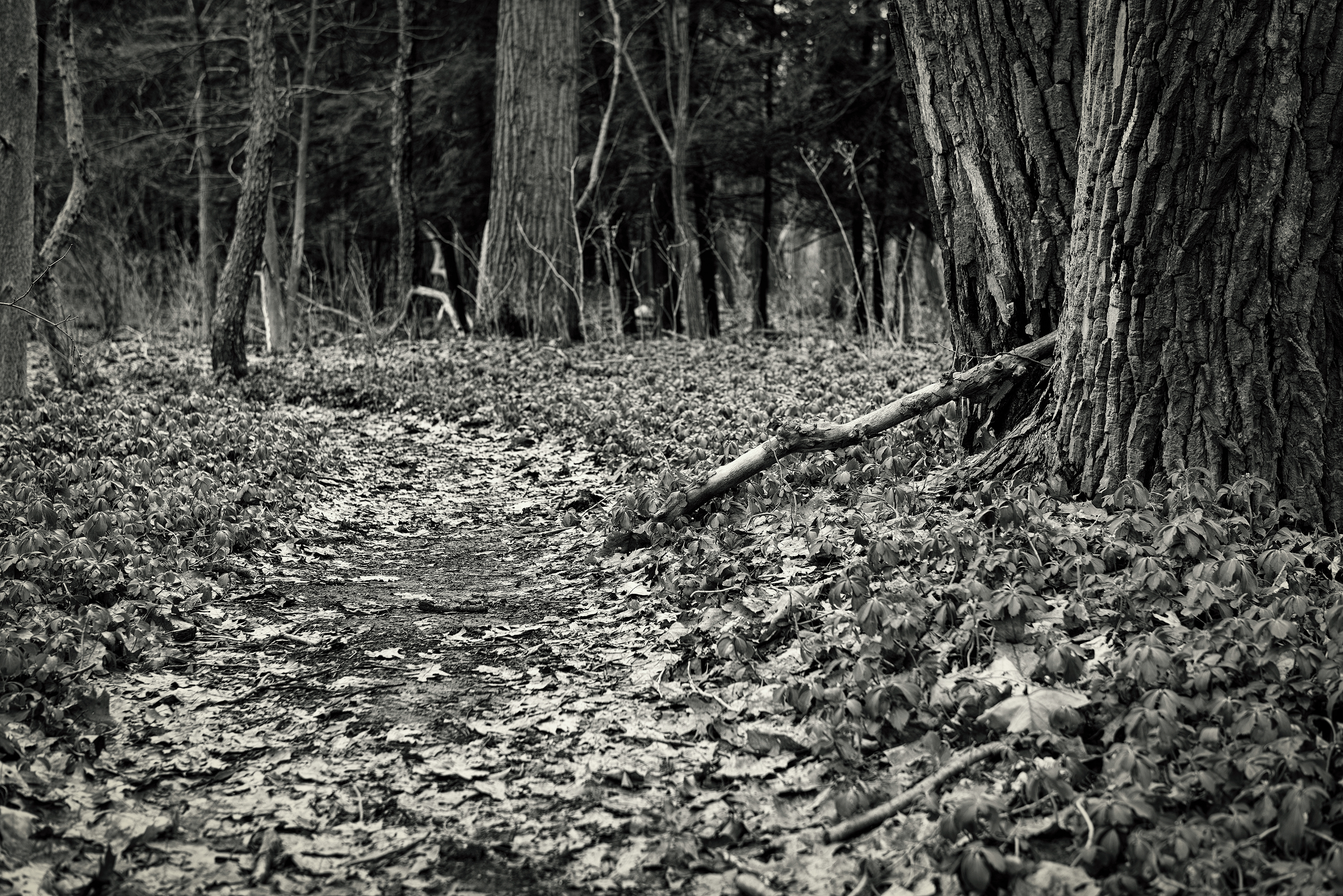 Cleveland Metroparks