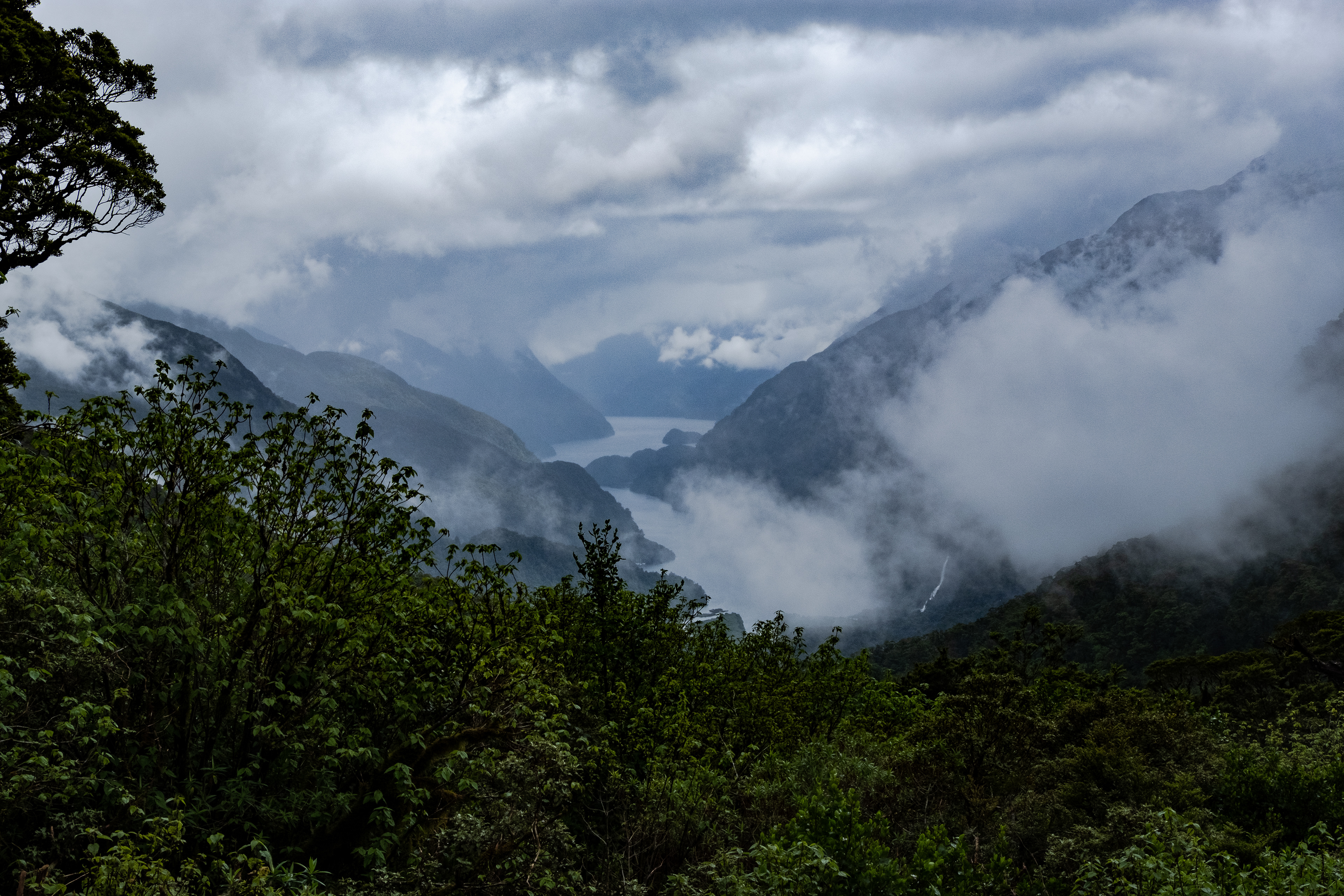 Doubtful Sound