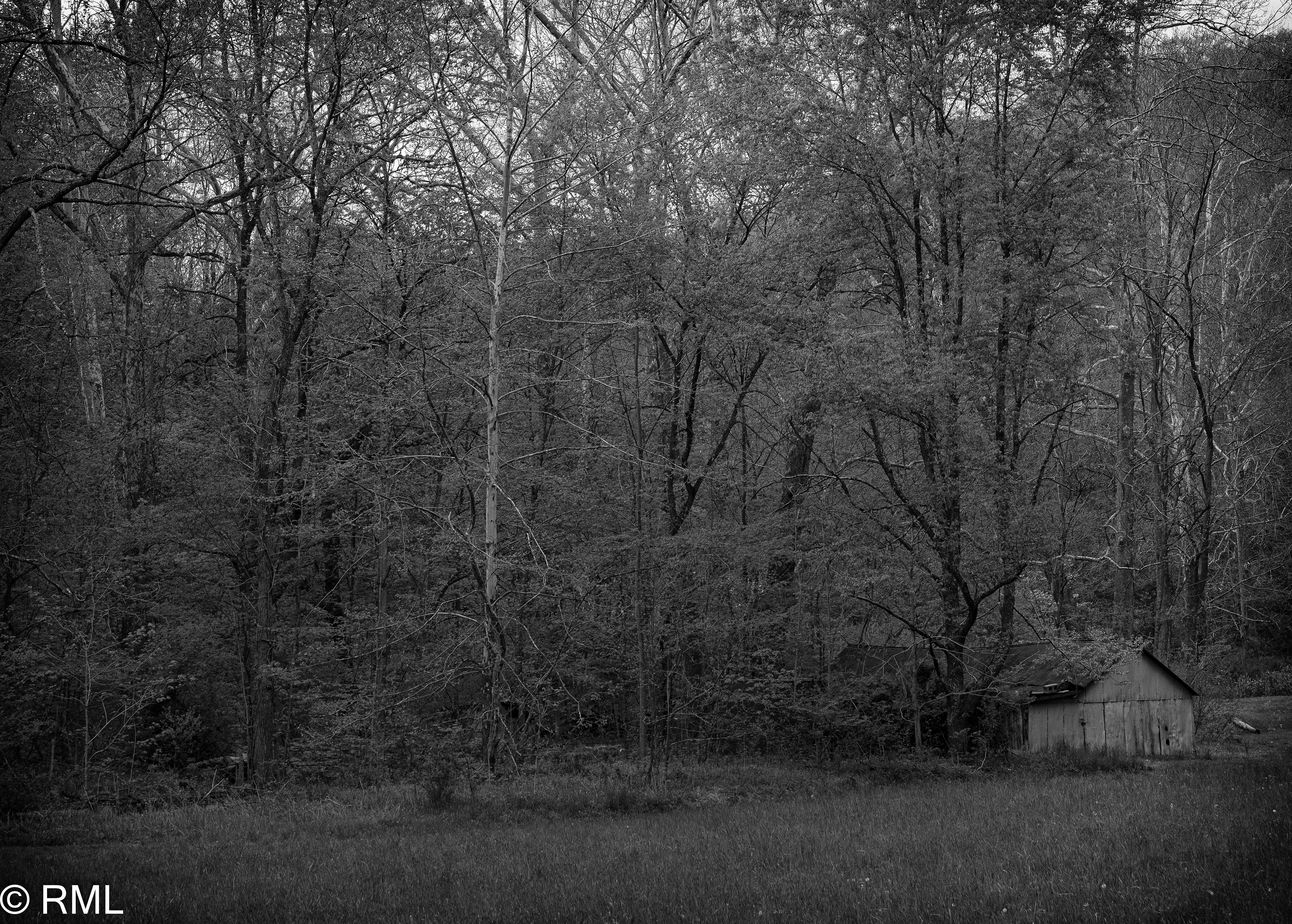 Barn in Woods