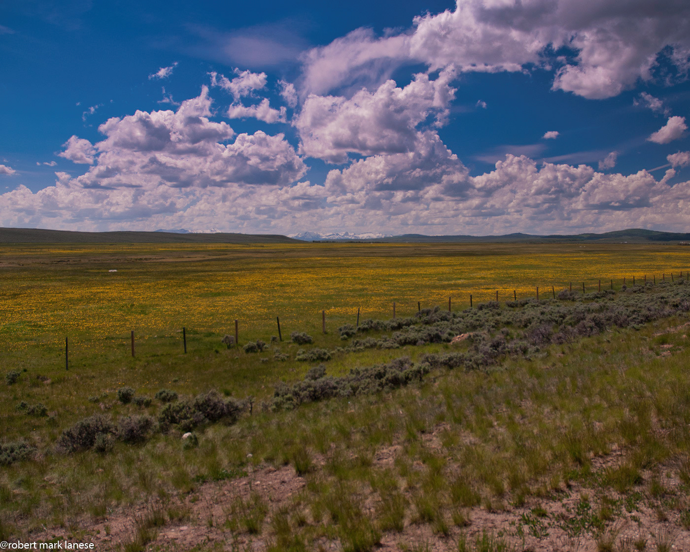 Wyoming Plain