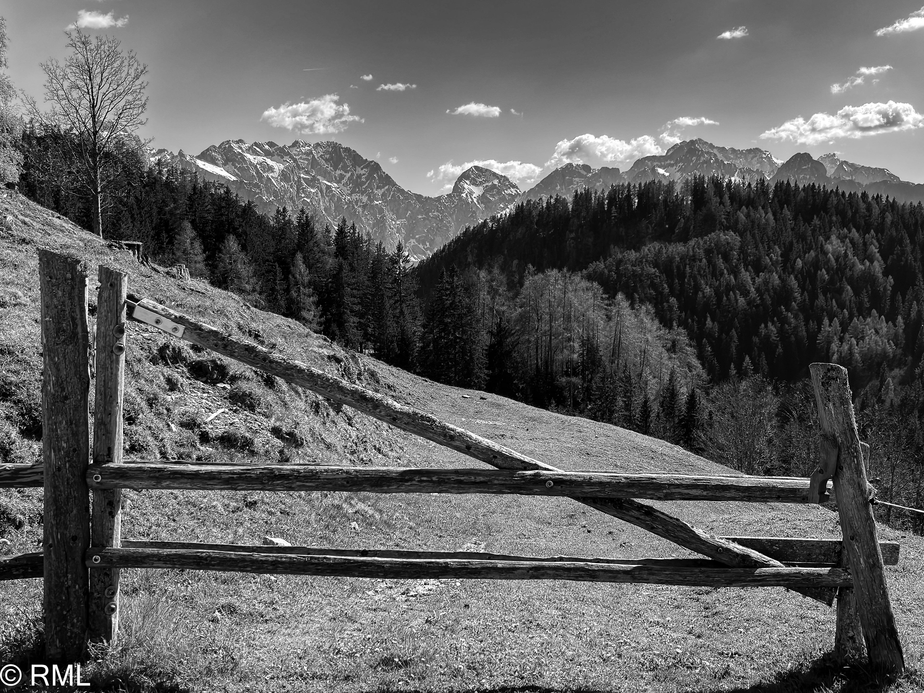 Natures Gated Community