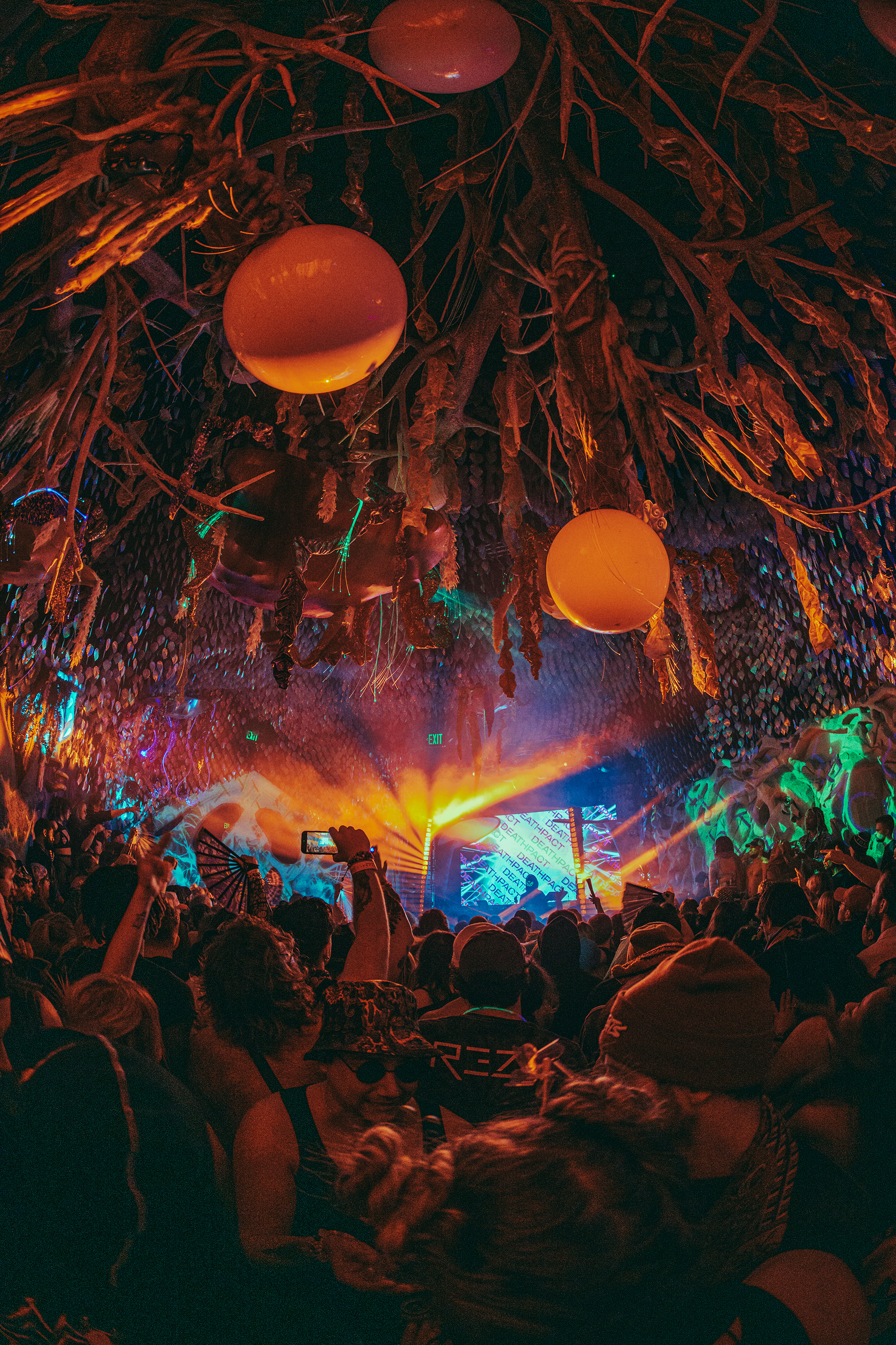 Deathpact, February 2025