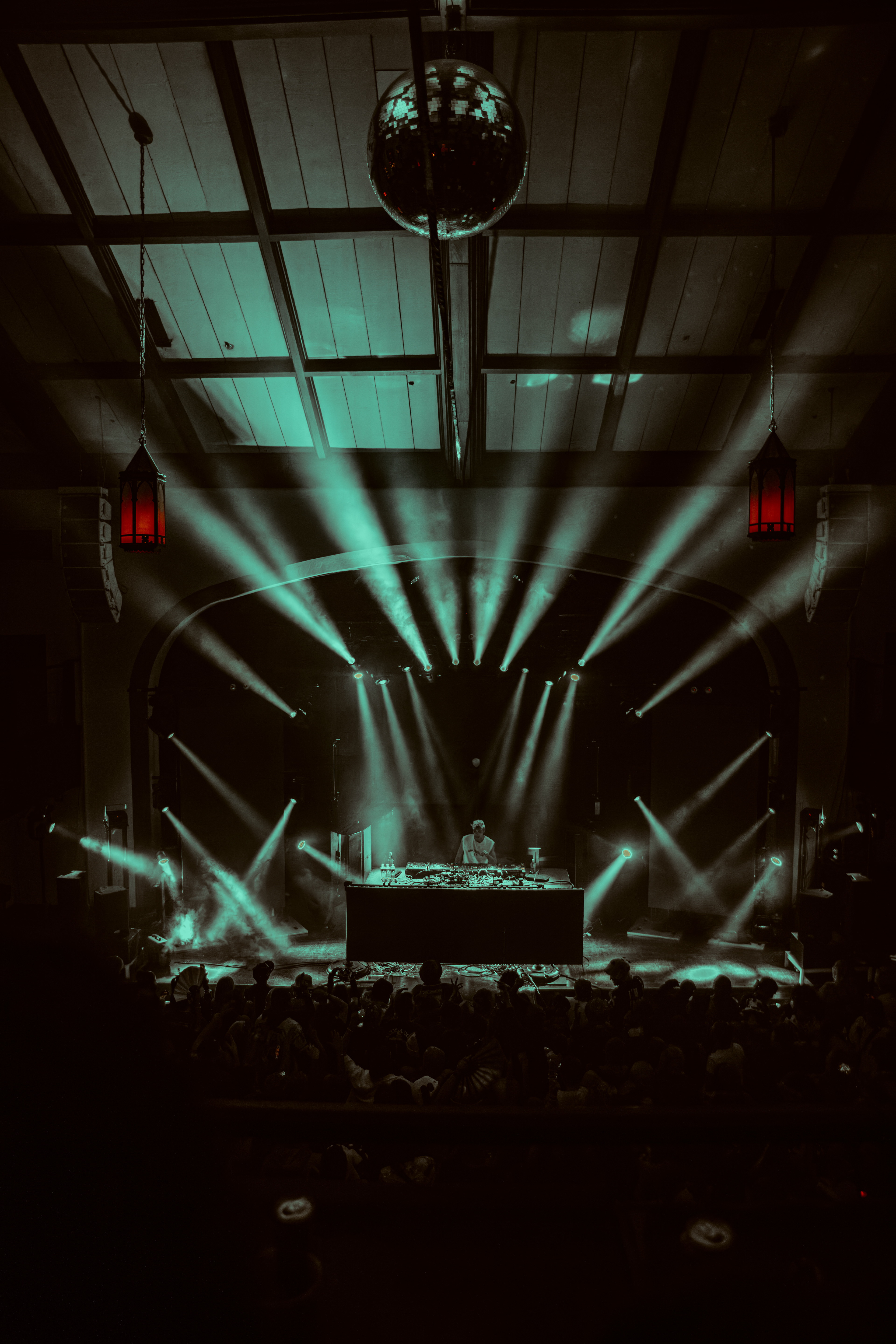 GorillaT, January 2025