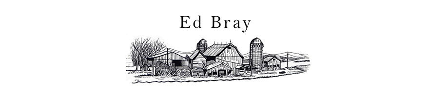 Ed Bray