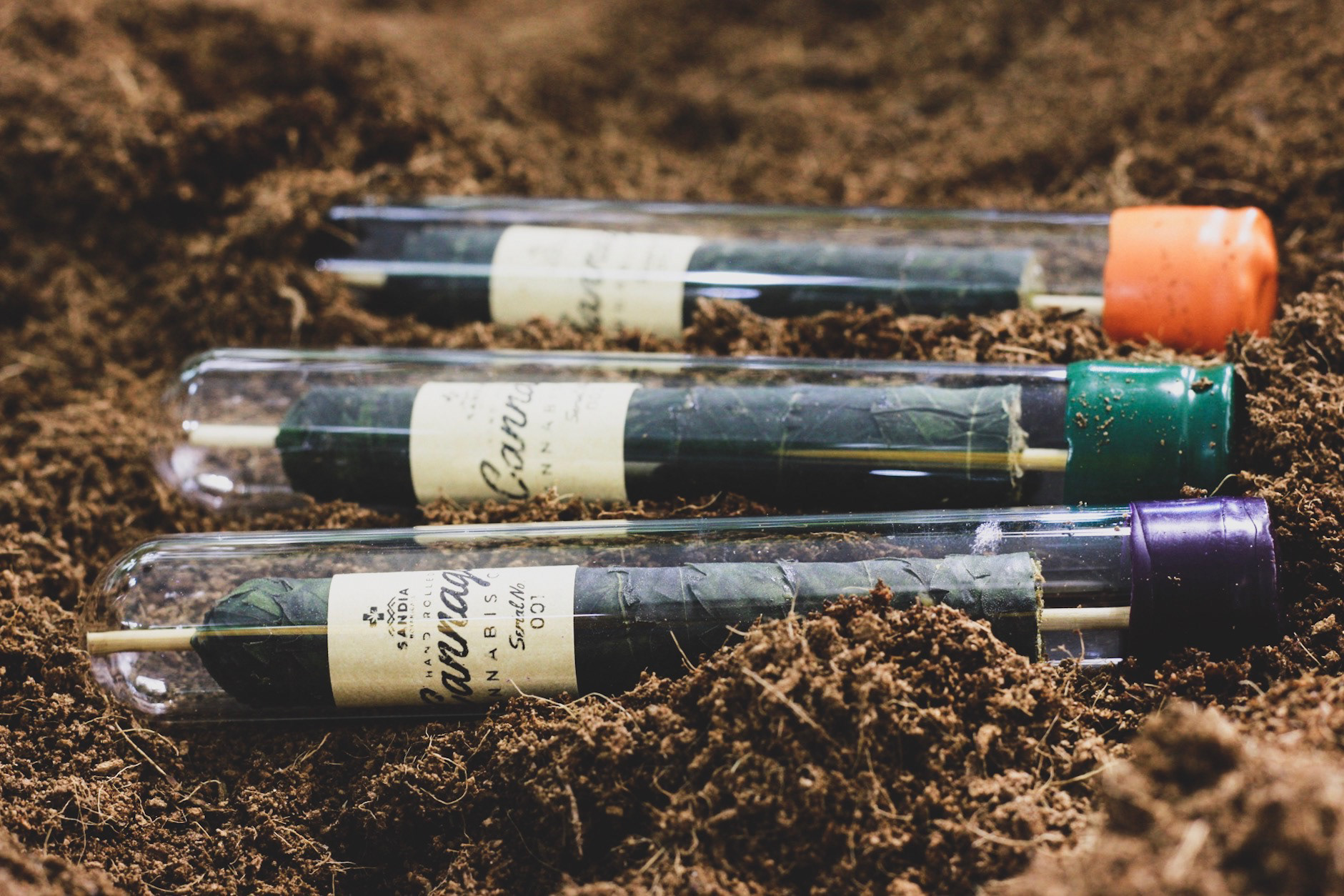 Joshua Lara Sandia Botanicals