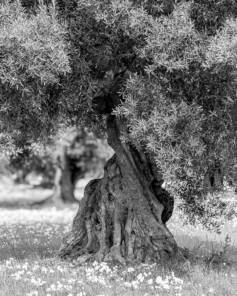 Echoes of Stillness