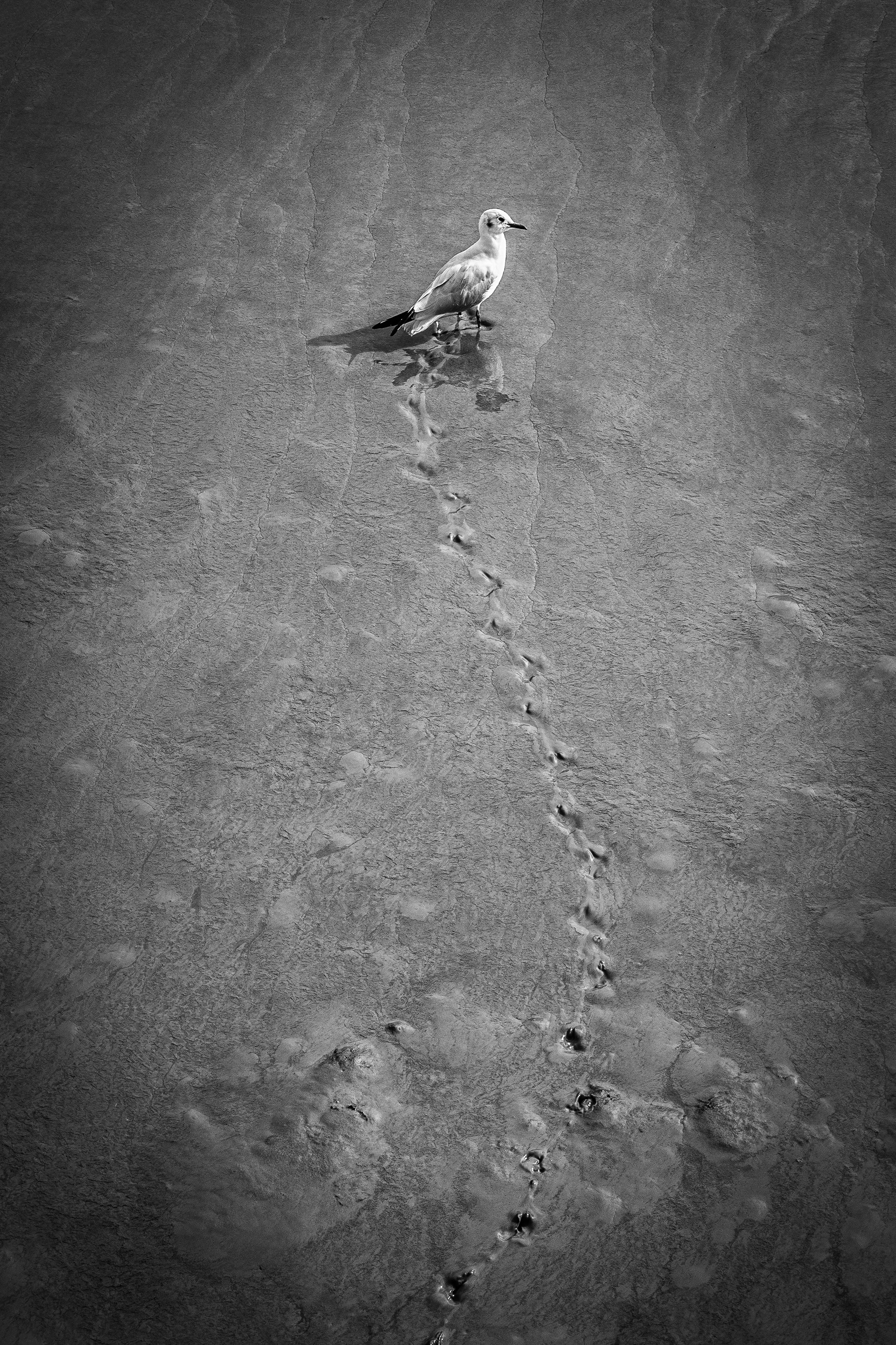 ©Jon Harris Photography