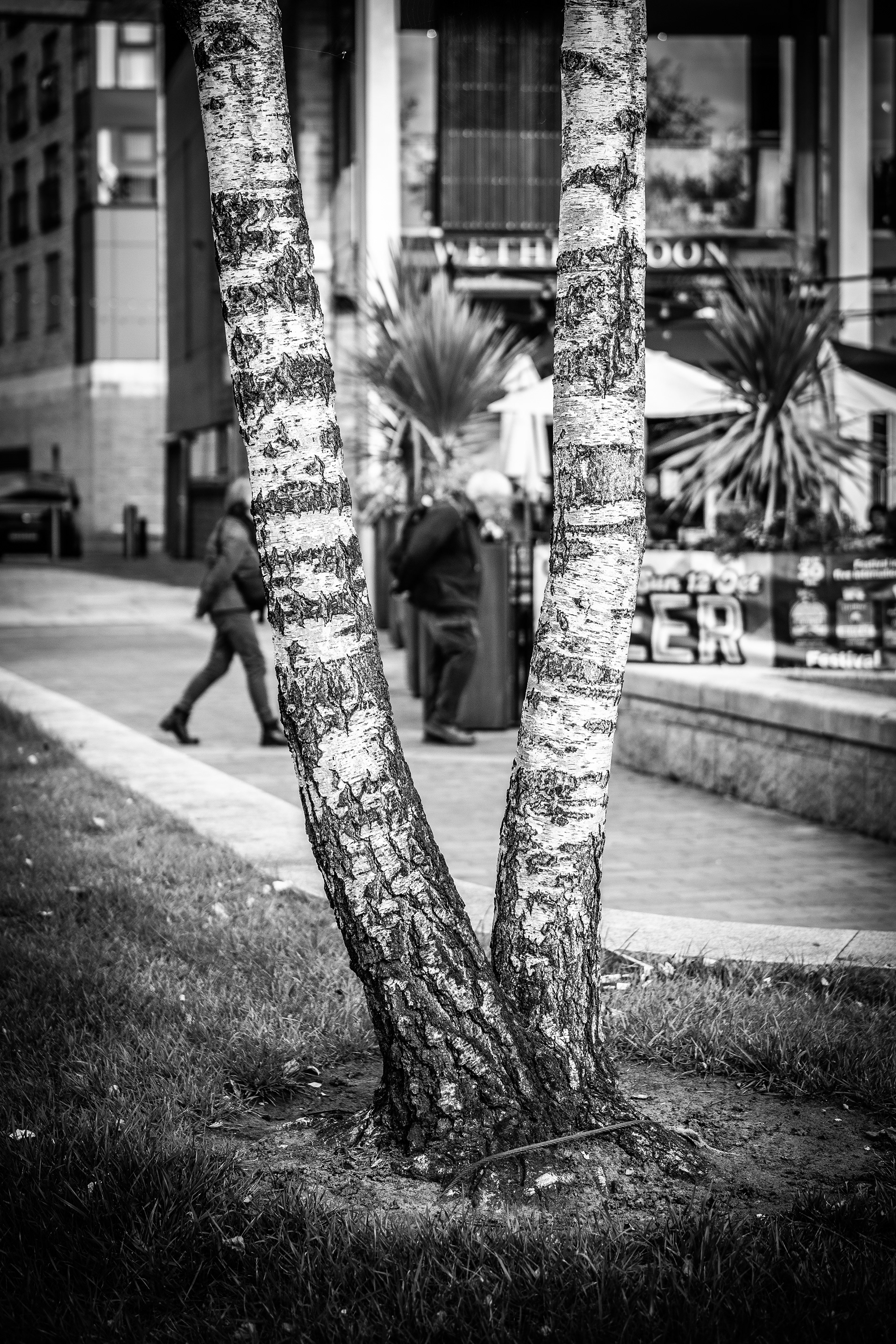 © Jon Harris Photography