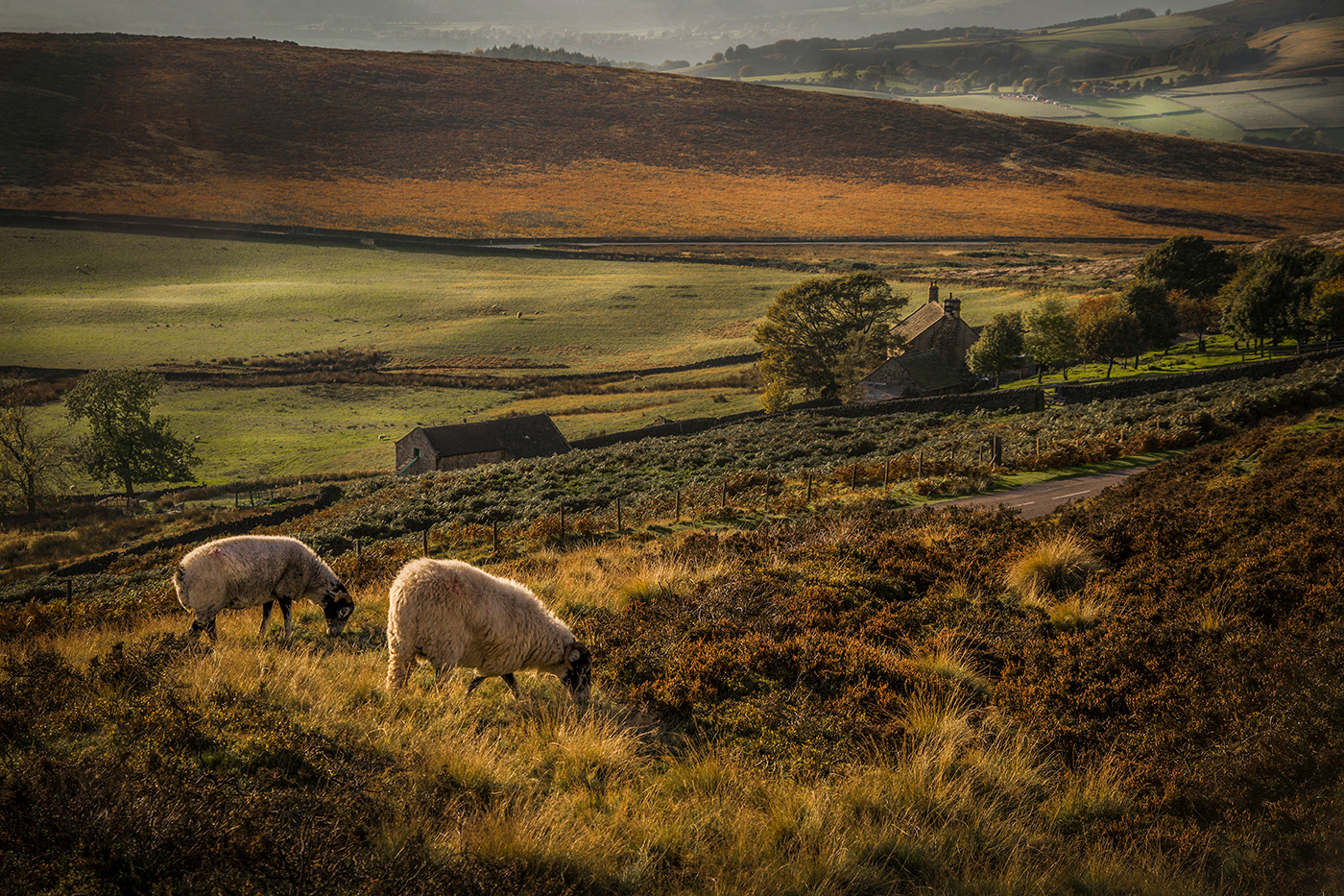 © Jon Harris Photography