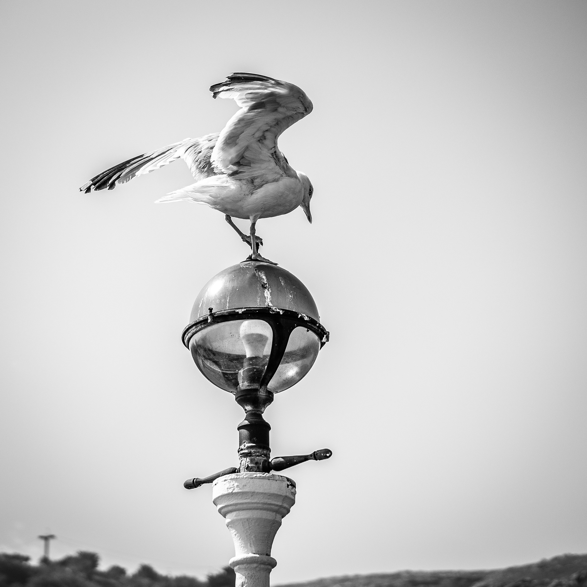 © Jon Harris Photography