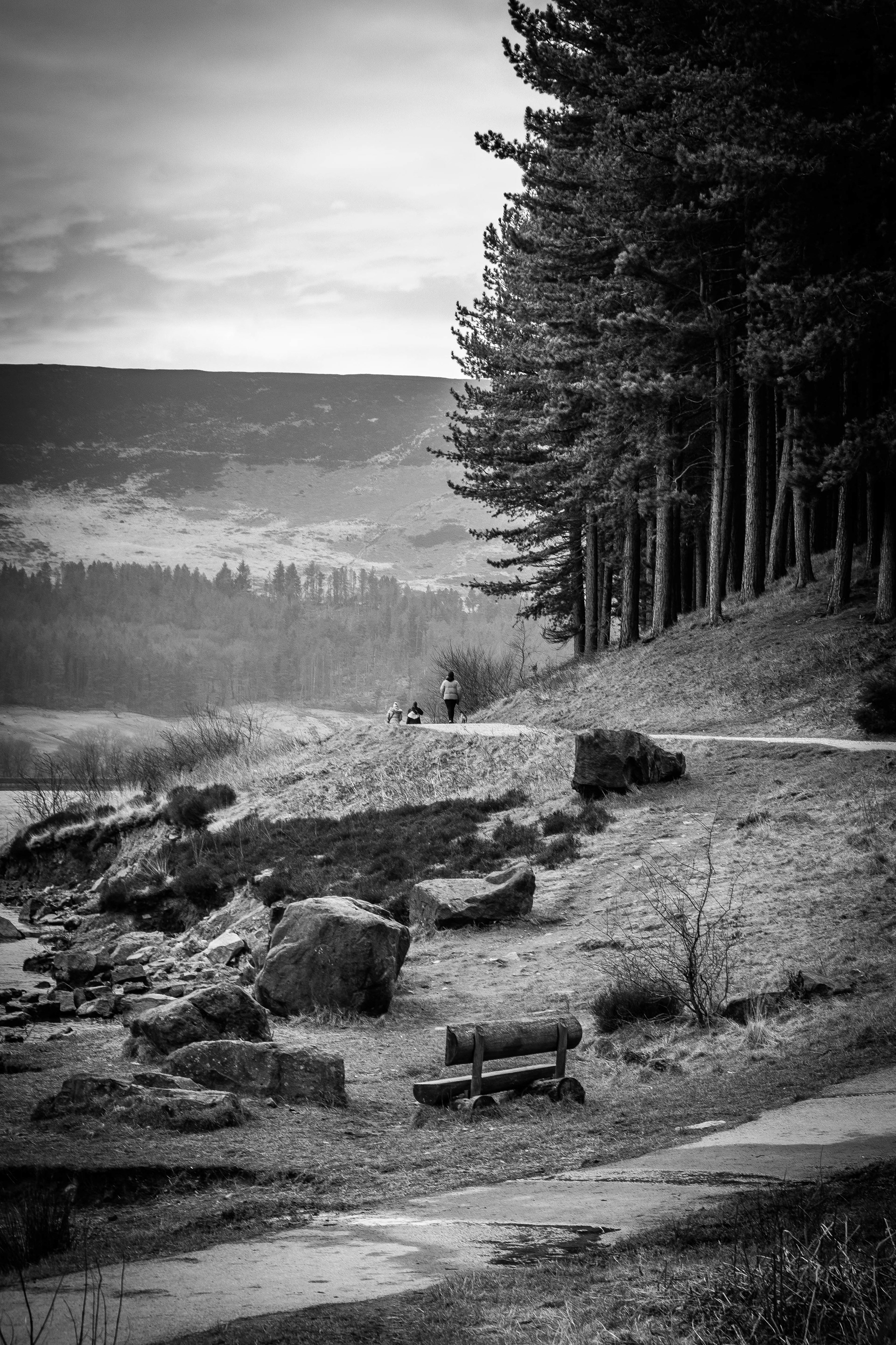 © Jon Harris Photography