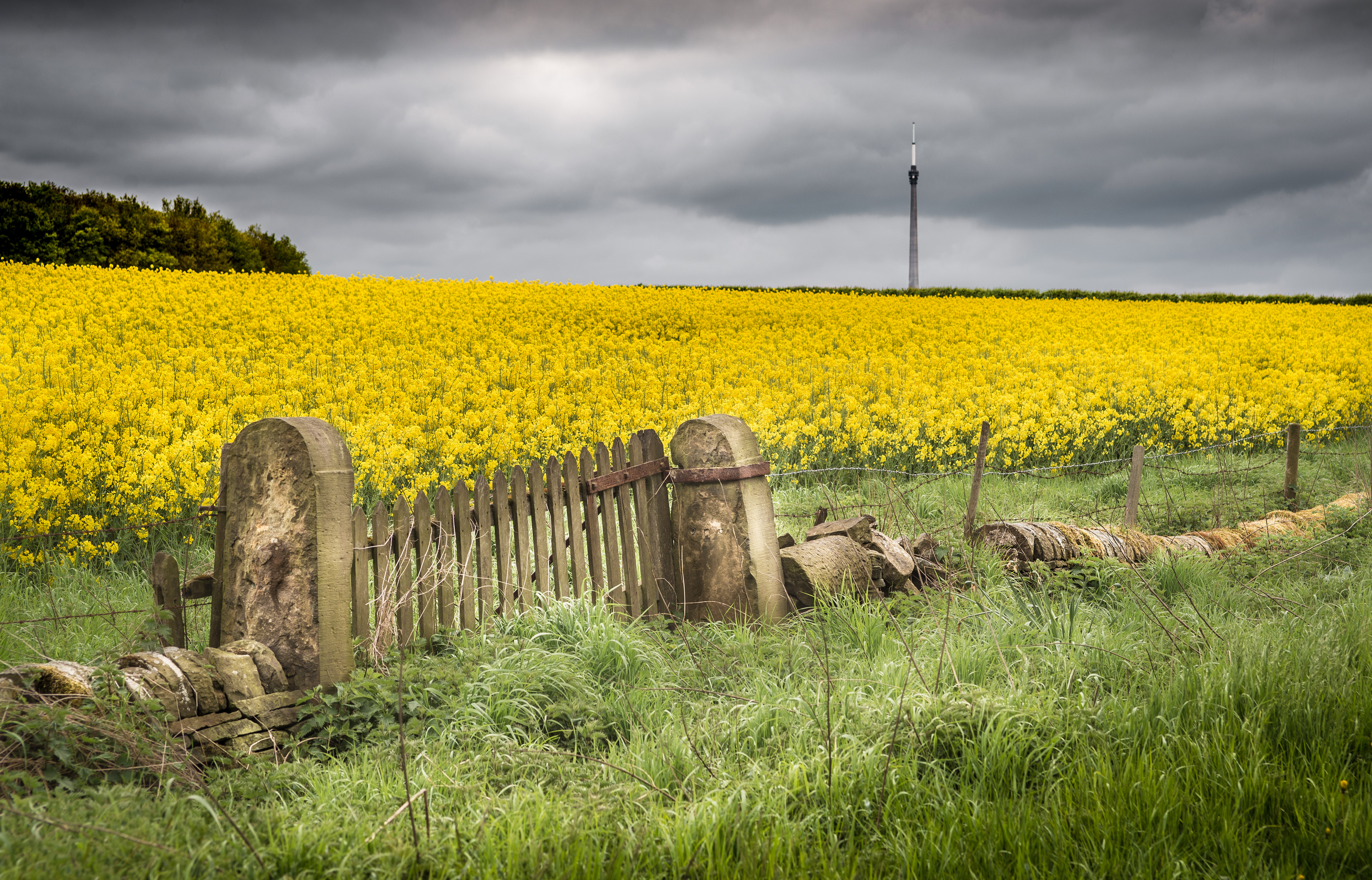 © Jon Harris Photography