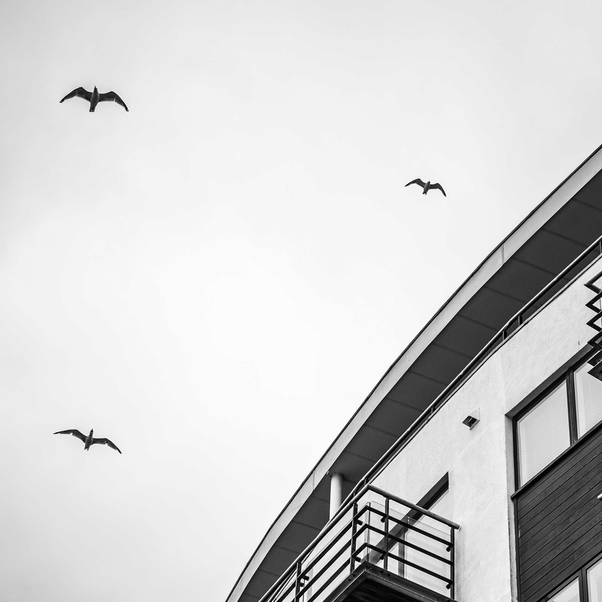 © Jon Harris Photography