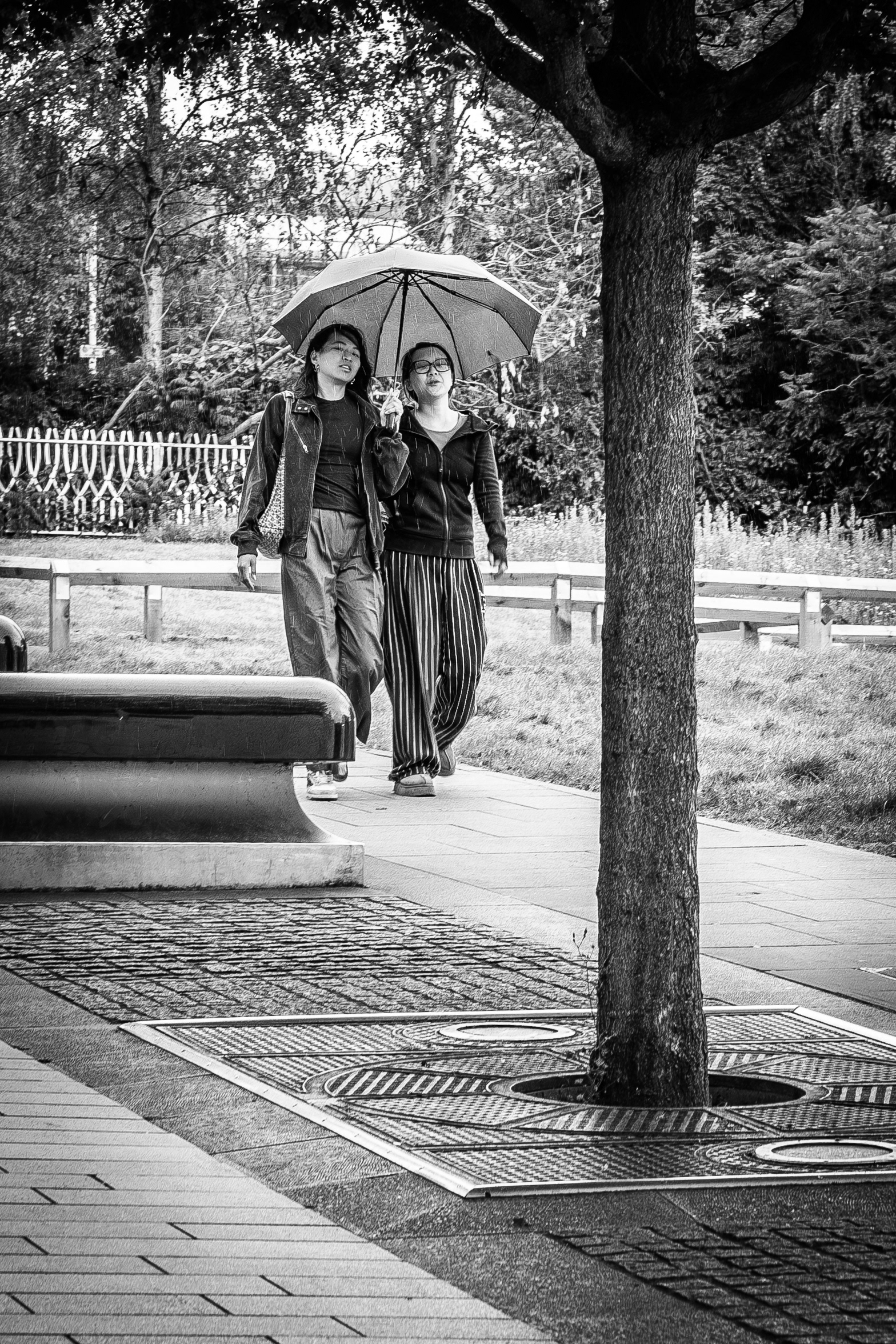 © Jon Harris Photography