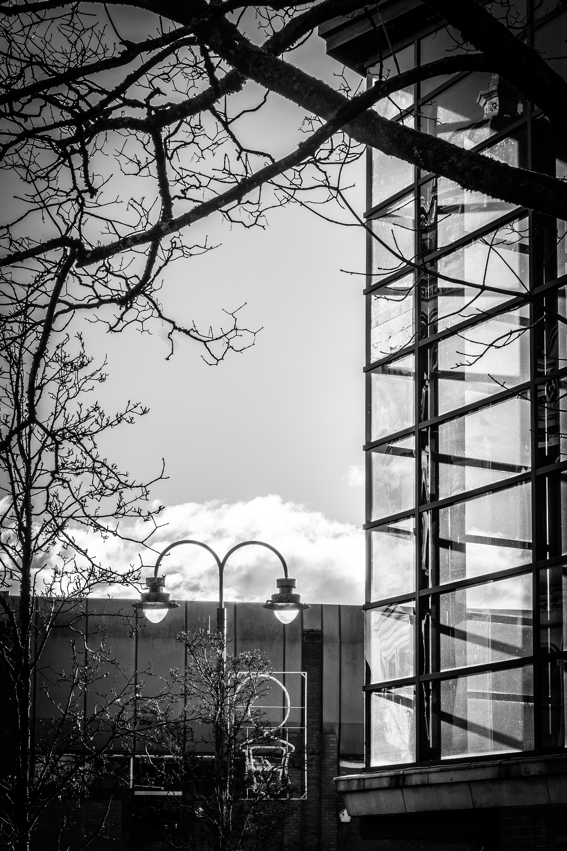 © Jon Harris Photography