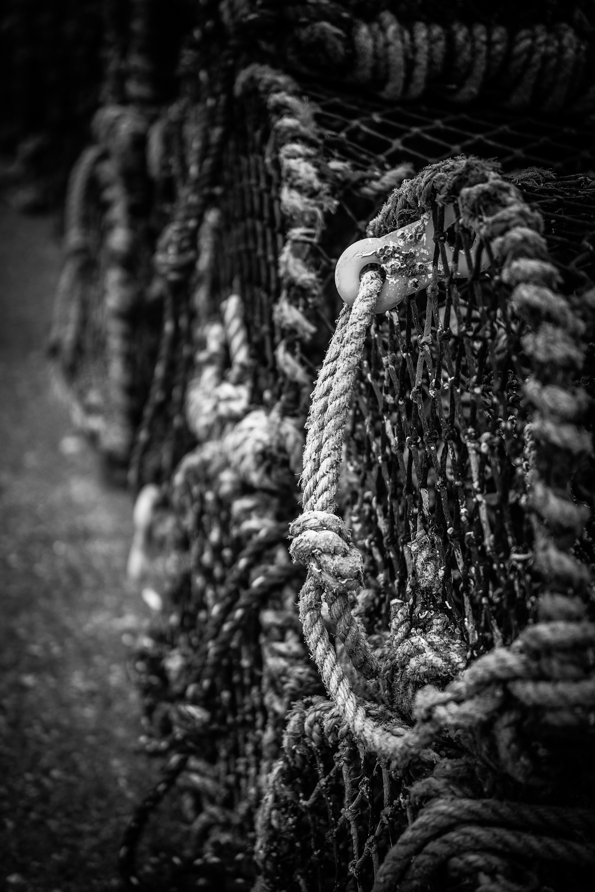 © Jon Harris Photography