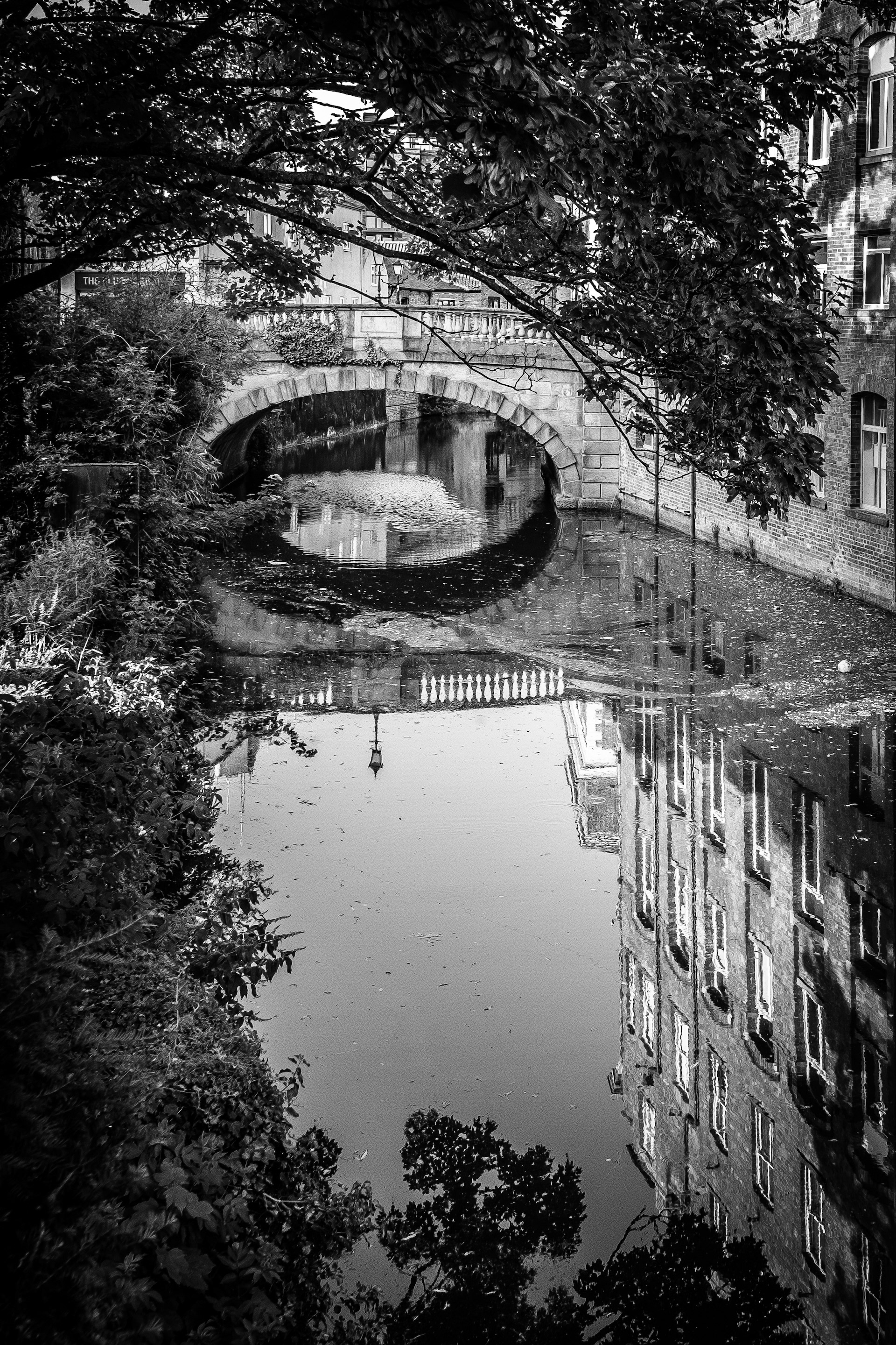 © Jon Harris Photography