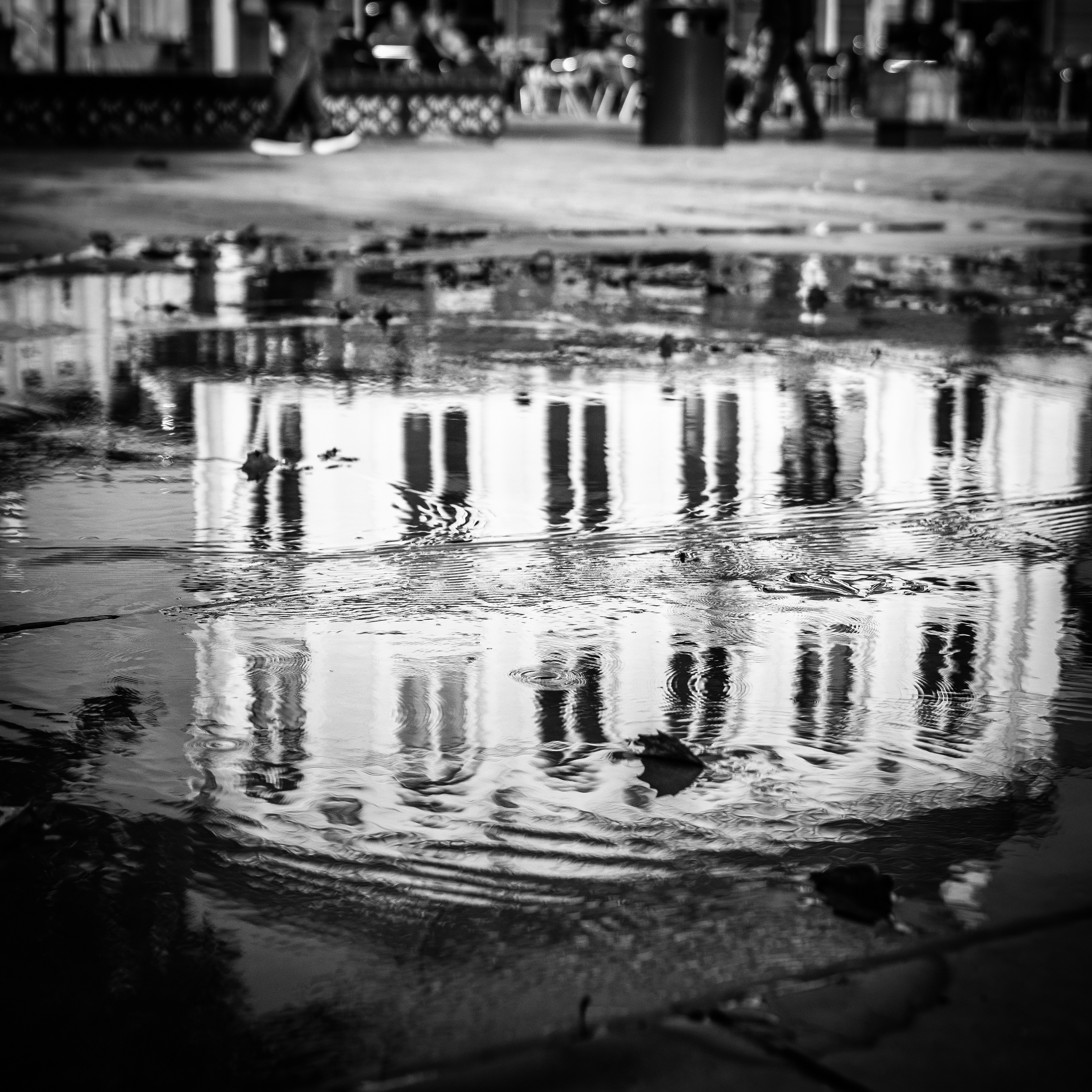 ©Jon Harris Photography