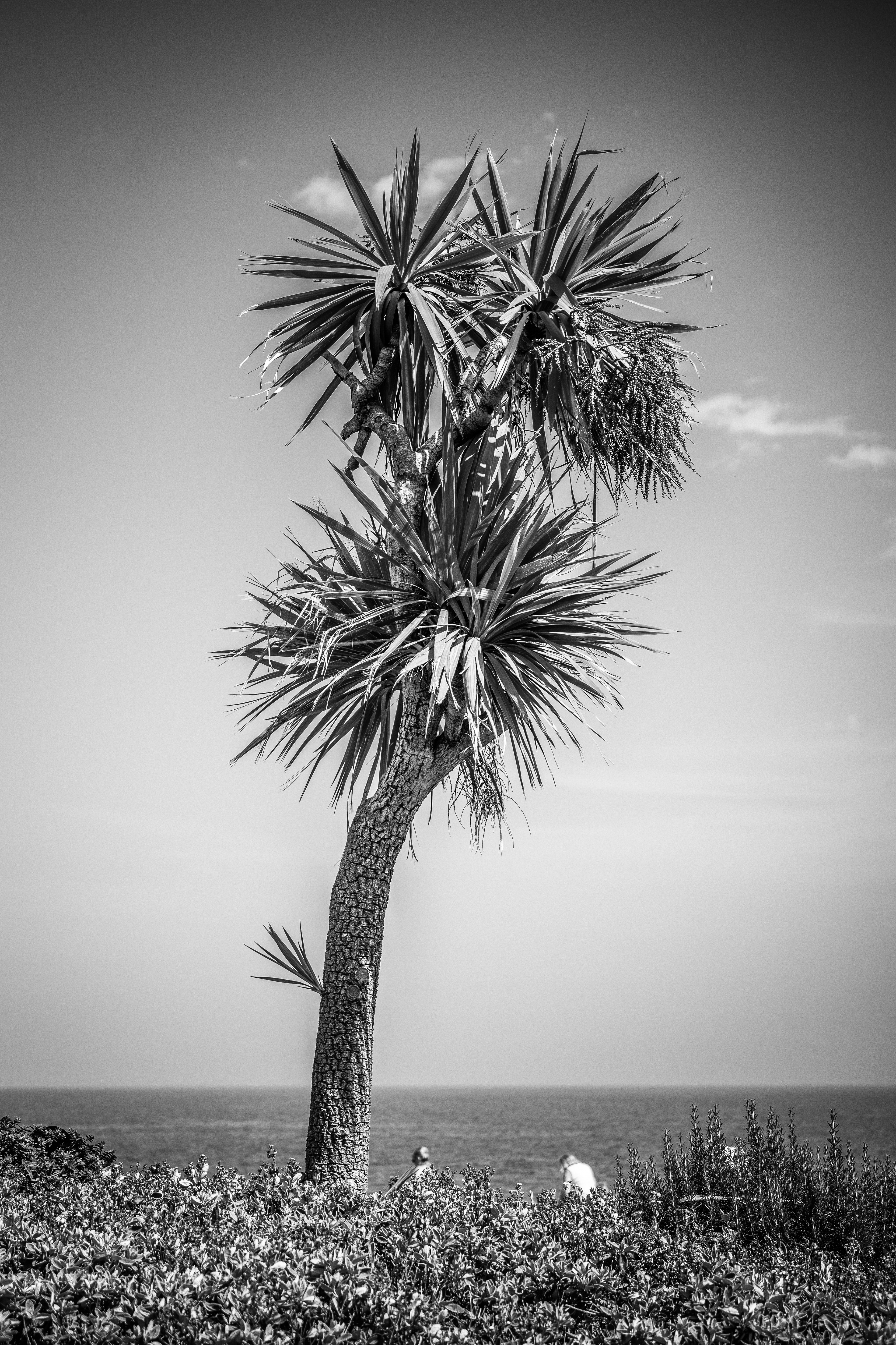 © Jon Harris Photography