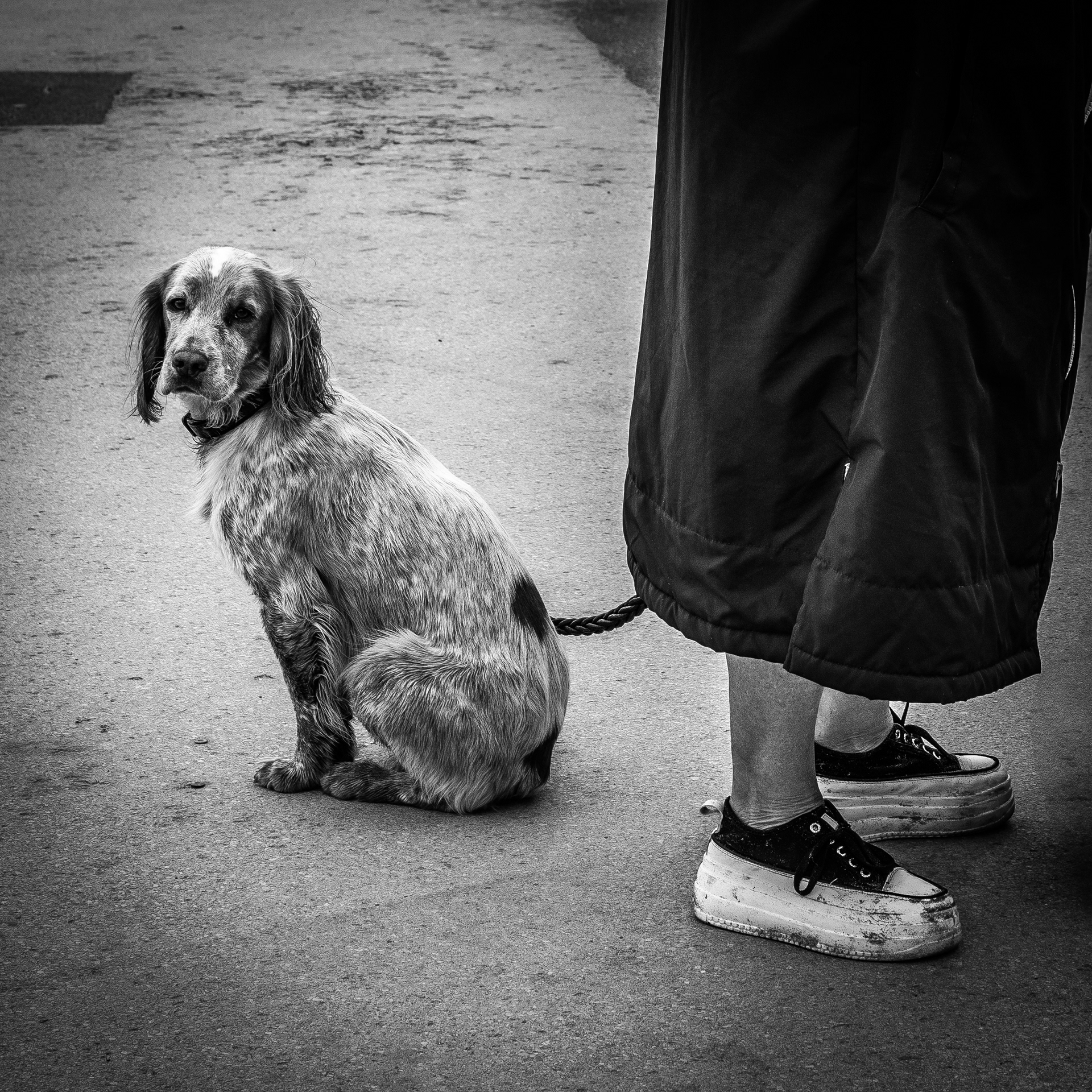 © Jon Harris Photography