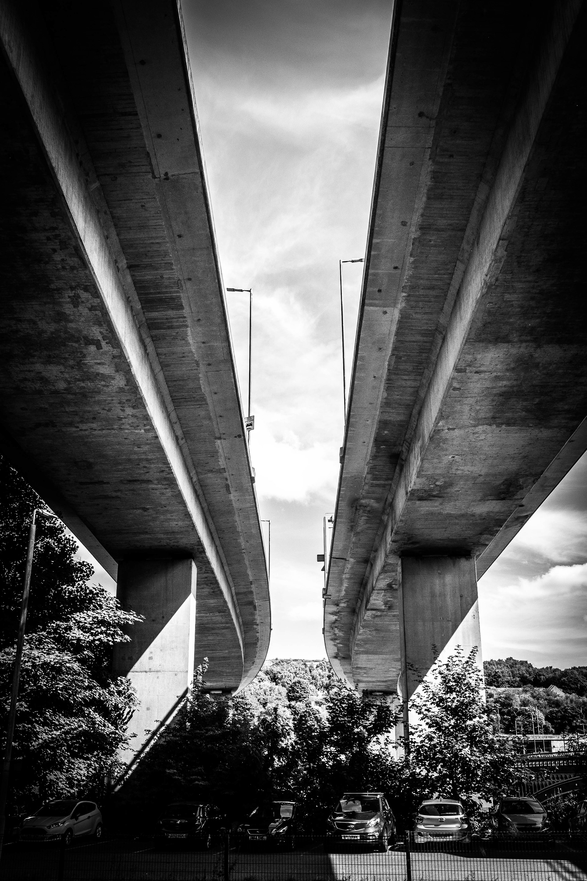 © Jon Harris Photography