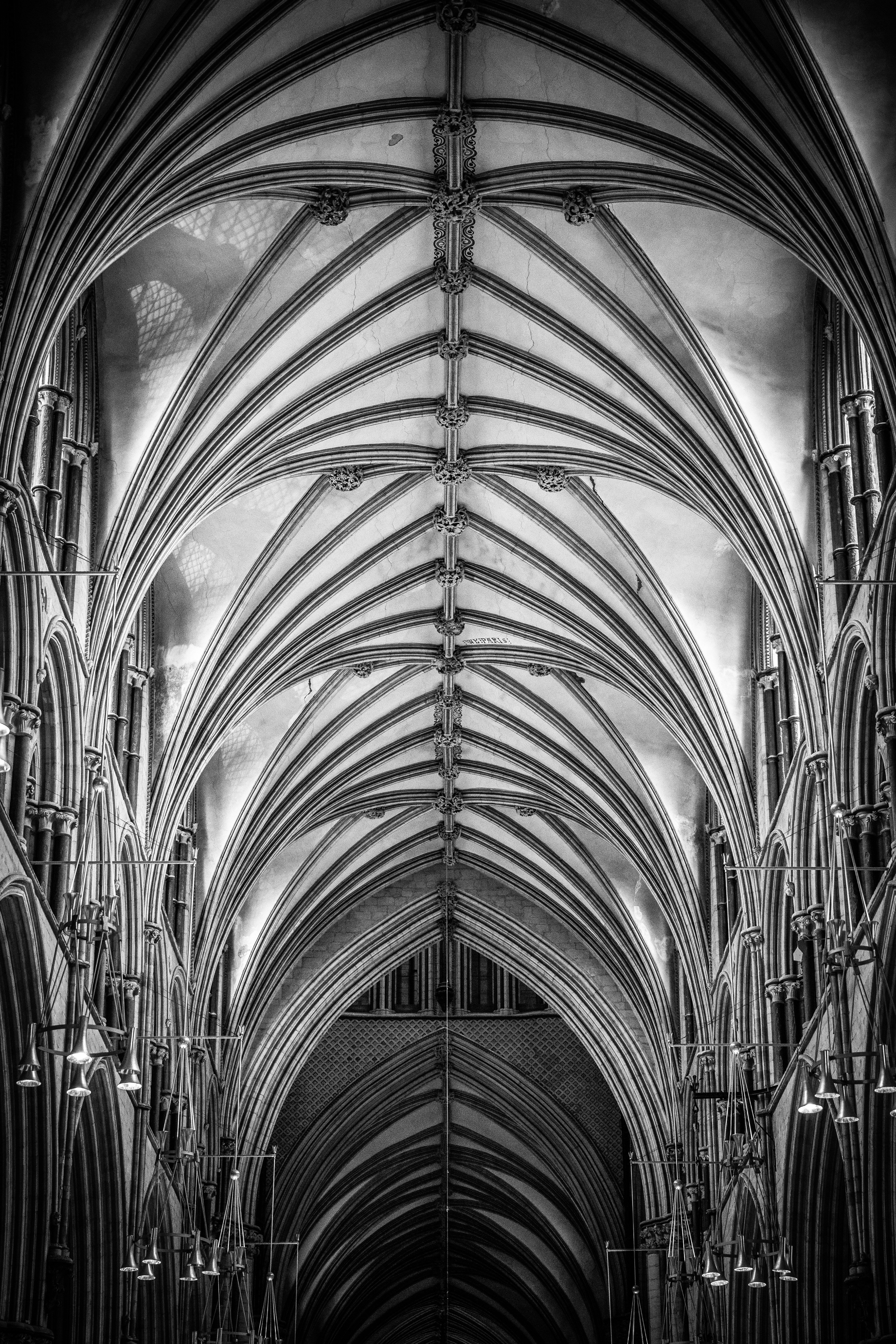 ©Jon Harris Photography