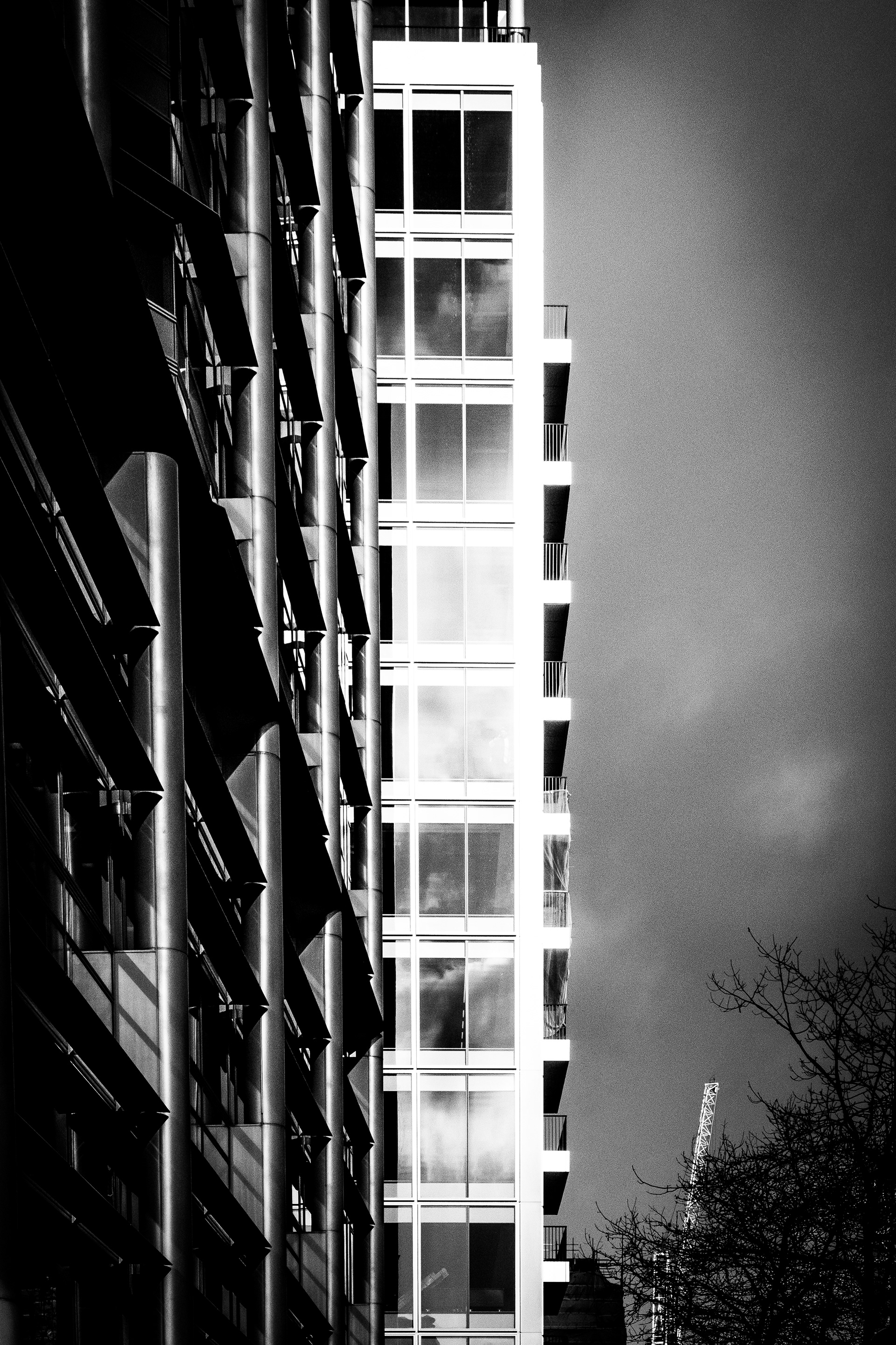© Jon Harris Photography