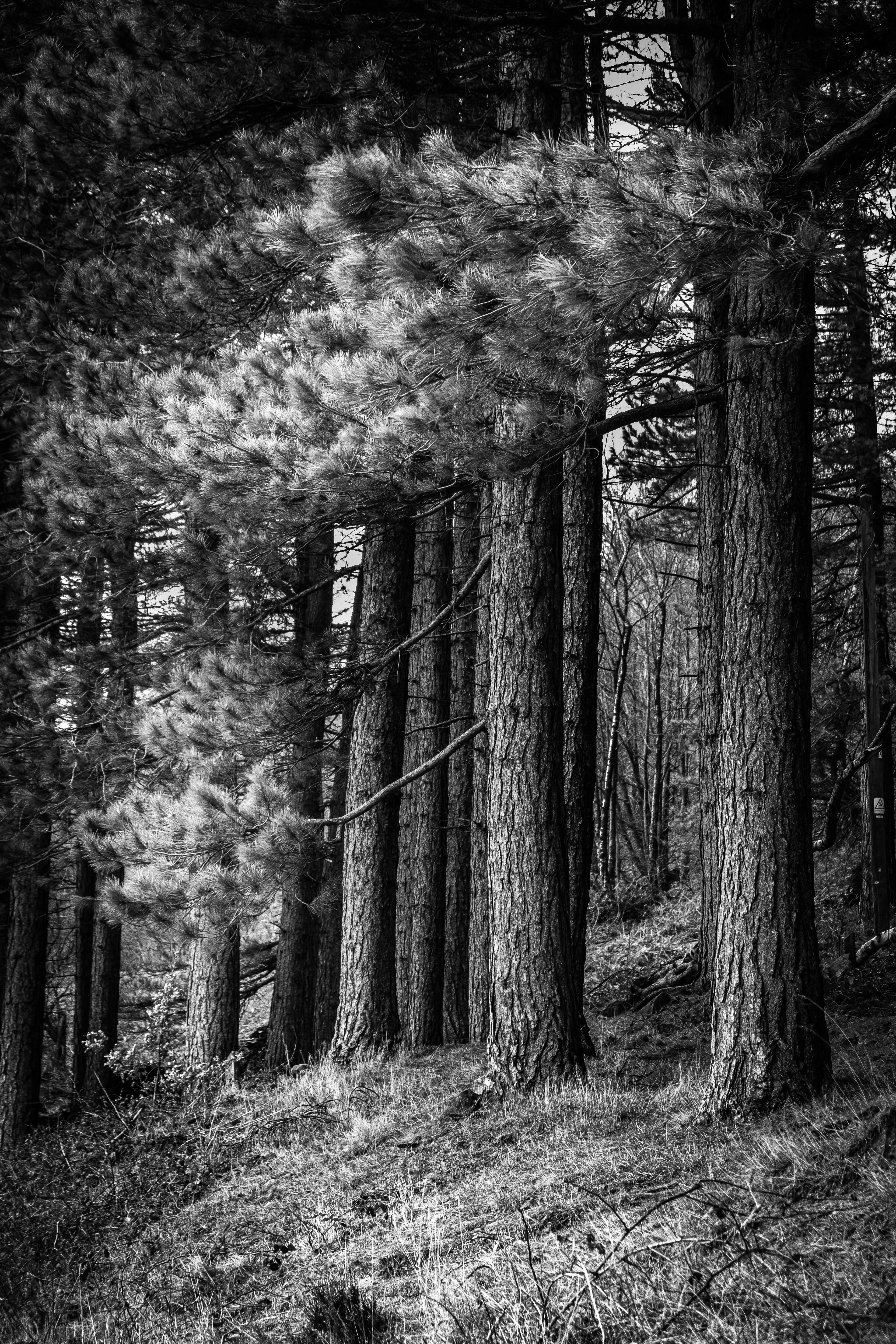© Jon Harris Photography